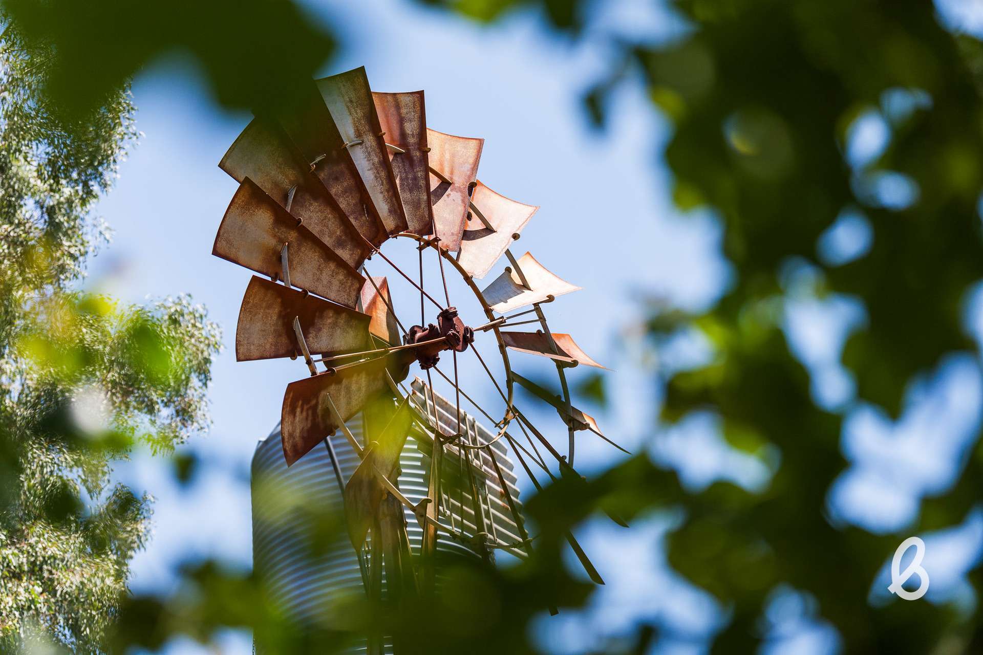 15 Ada Street, Singleton For Sale by Farmbuy.com - image 3