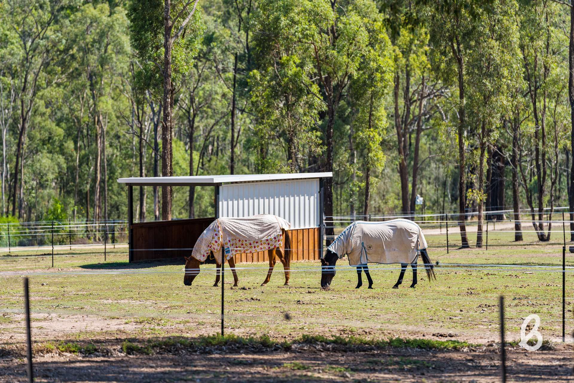 241 Pioneer Road, Singleton For Sale by Farmbuy.com - image 7