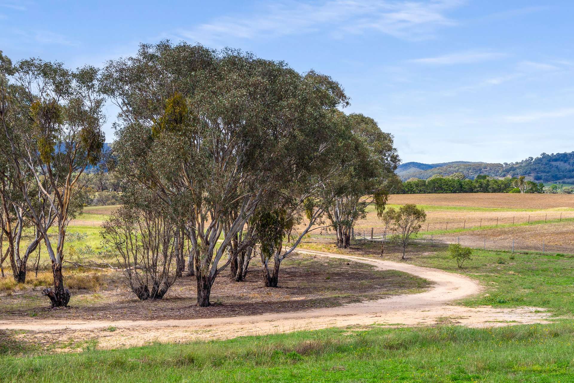 1999 O'Connell Road, O'Connell Auction by Farmbuy.com - image 24