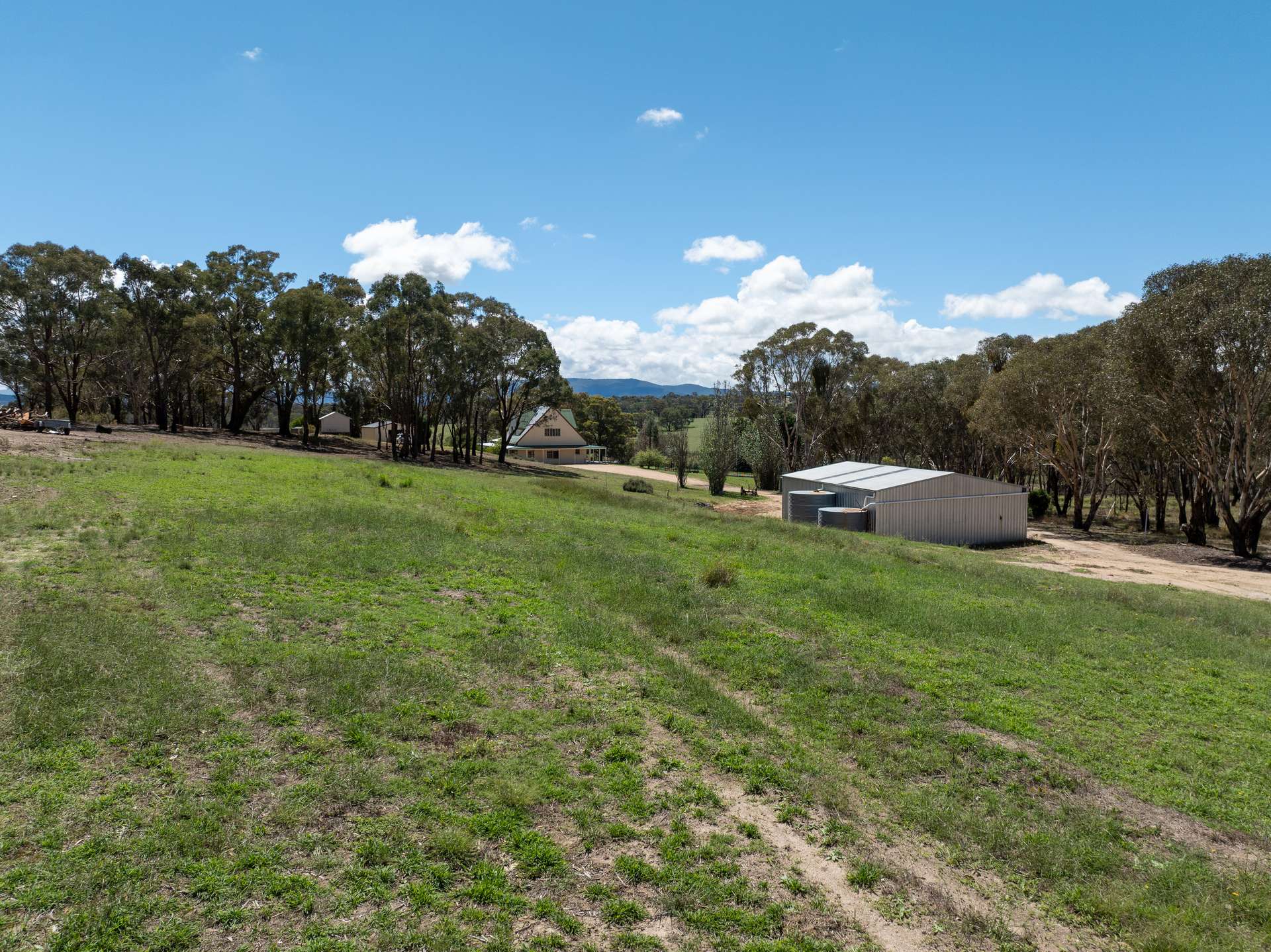 1999 O'Connell Road, O'Connell Auction by Farmbuy.com - image 27