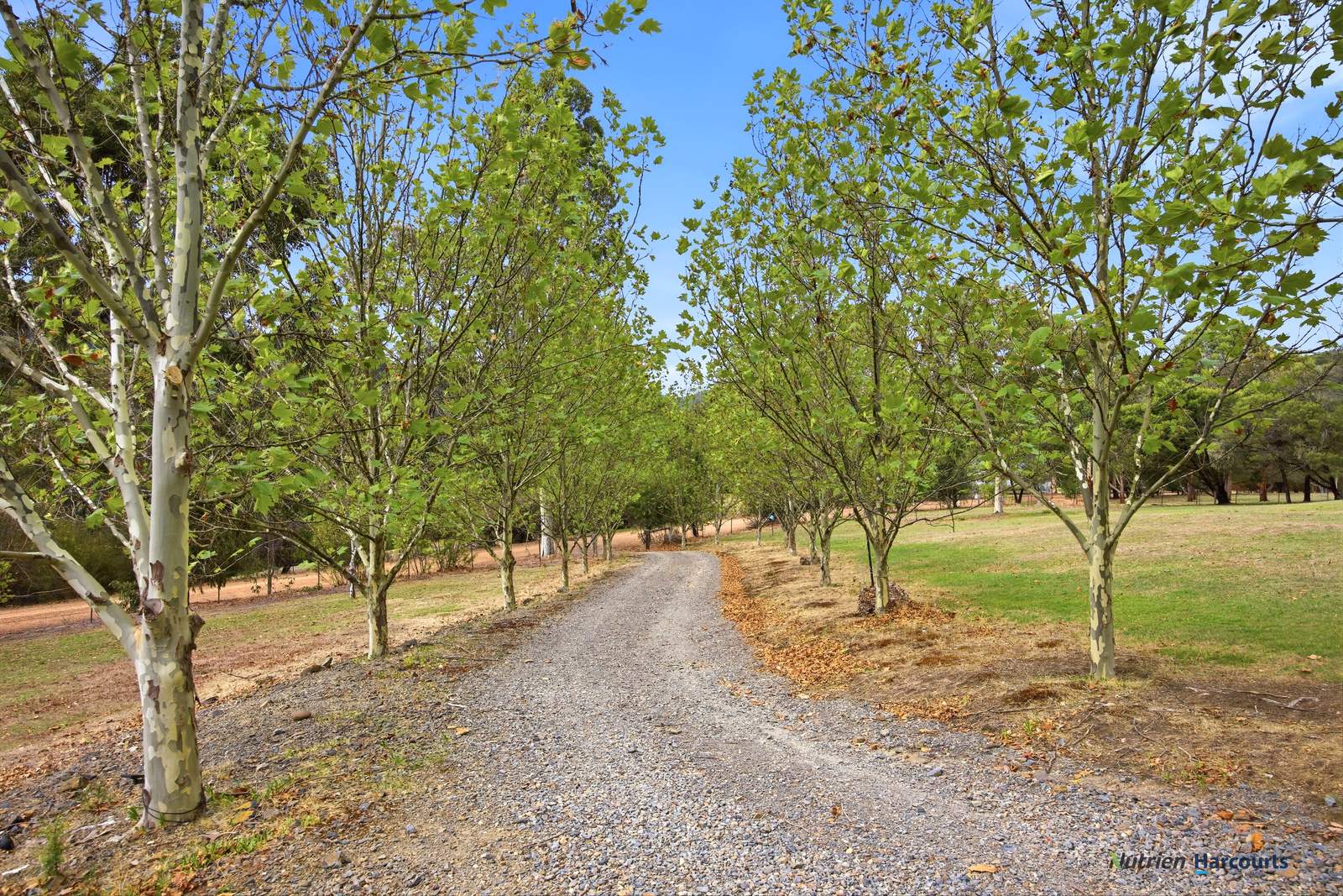 72 Alford Avenue, Eildon For Sale by Farmbuy.com - image 6