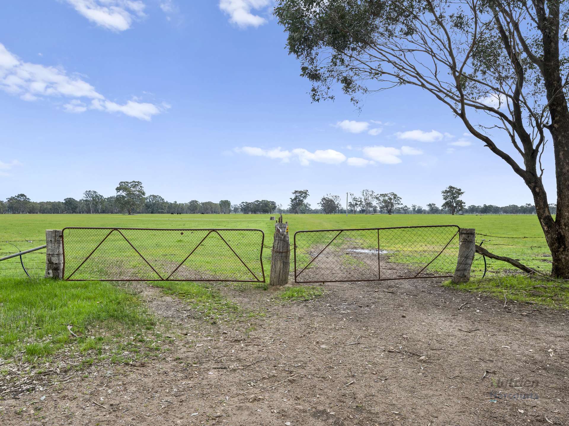 Lots 2 & 3/523 Lomers Road, Balmattum For Sale by Farmbuy.com - image 13