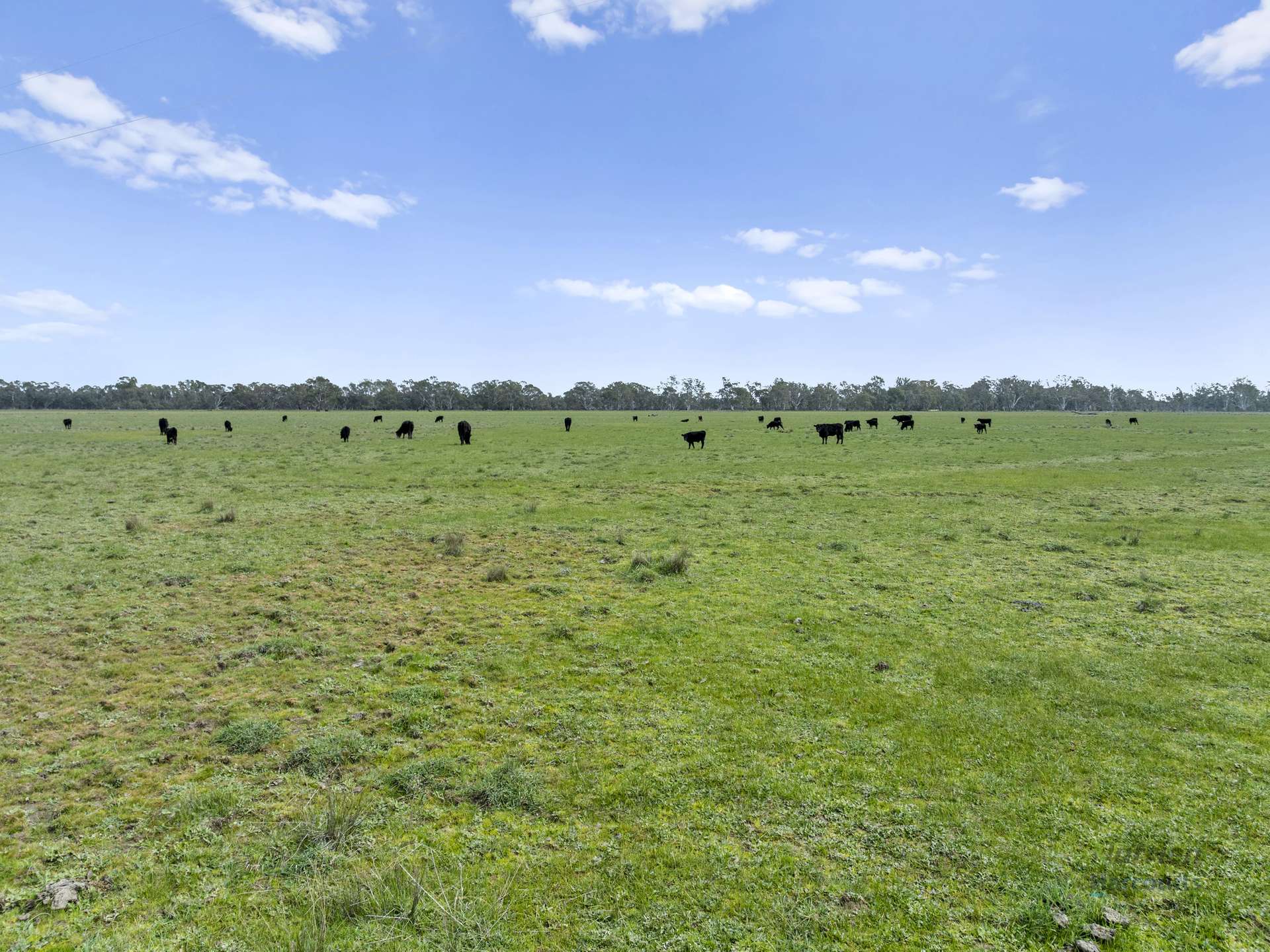 Lots 2 & 3/523 Lomers Road, Balmattum For Sale by Farmbuy.com - image 12