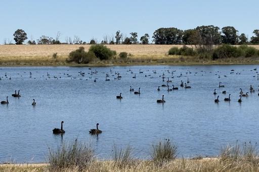 4779 Northwest Road, Dandaragan WA 6507