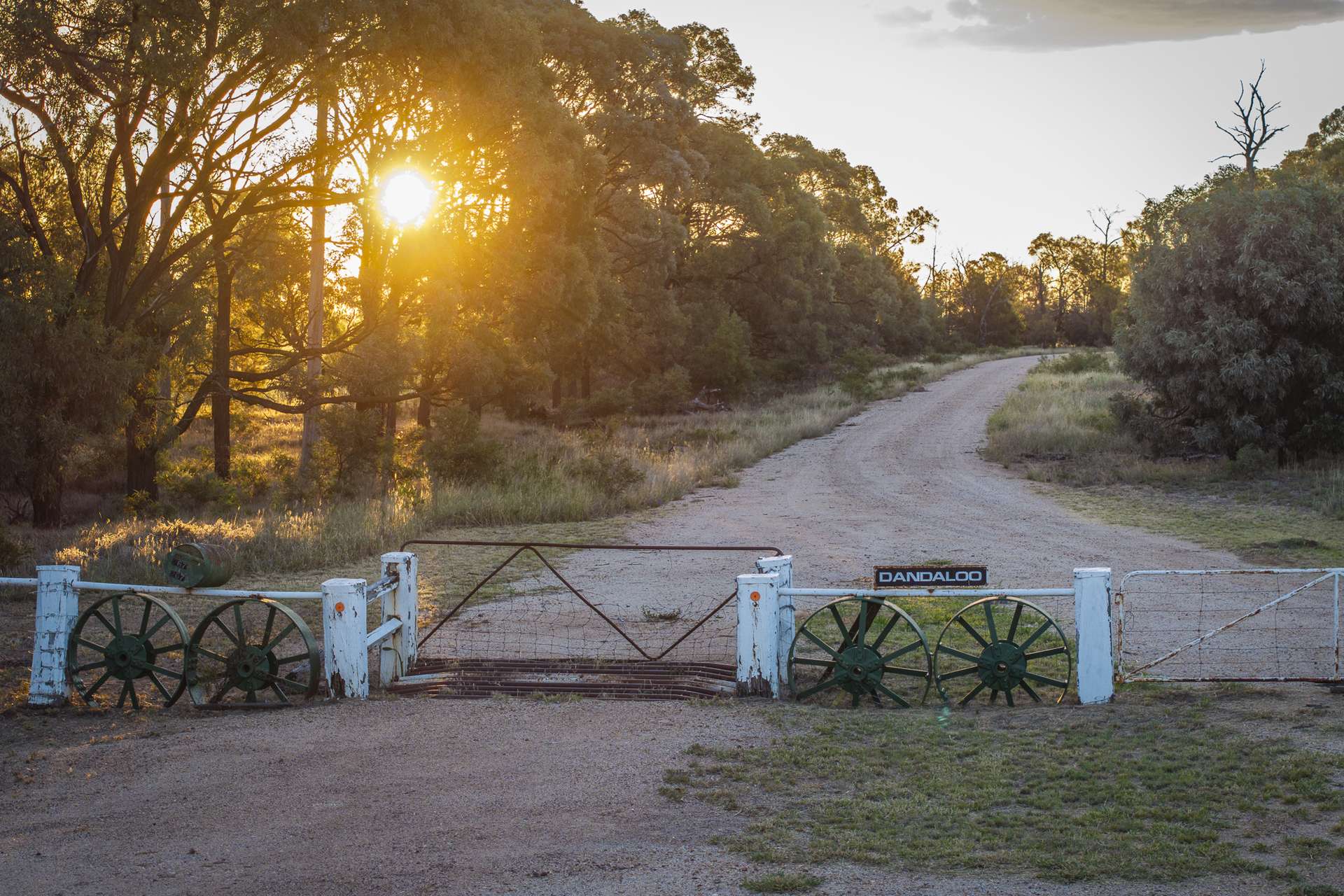 267 Bennett School Road, Tara Auction by Farmbuy.com - image 6