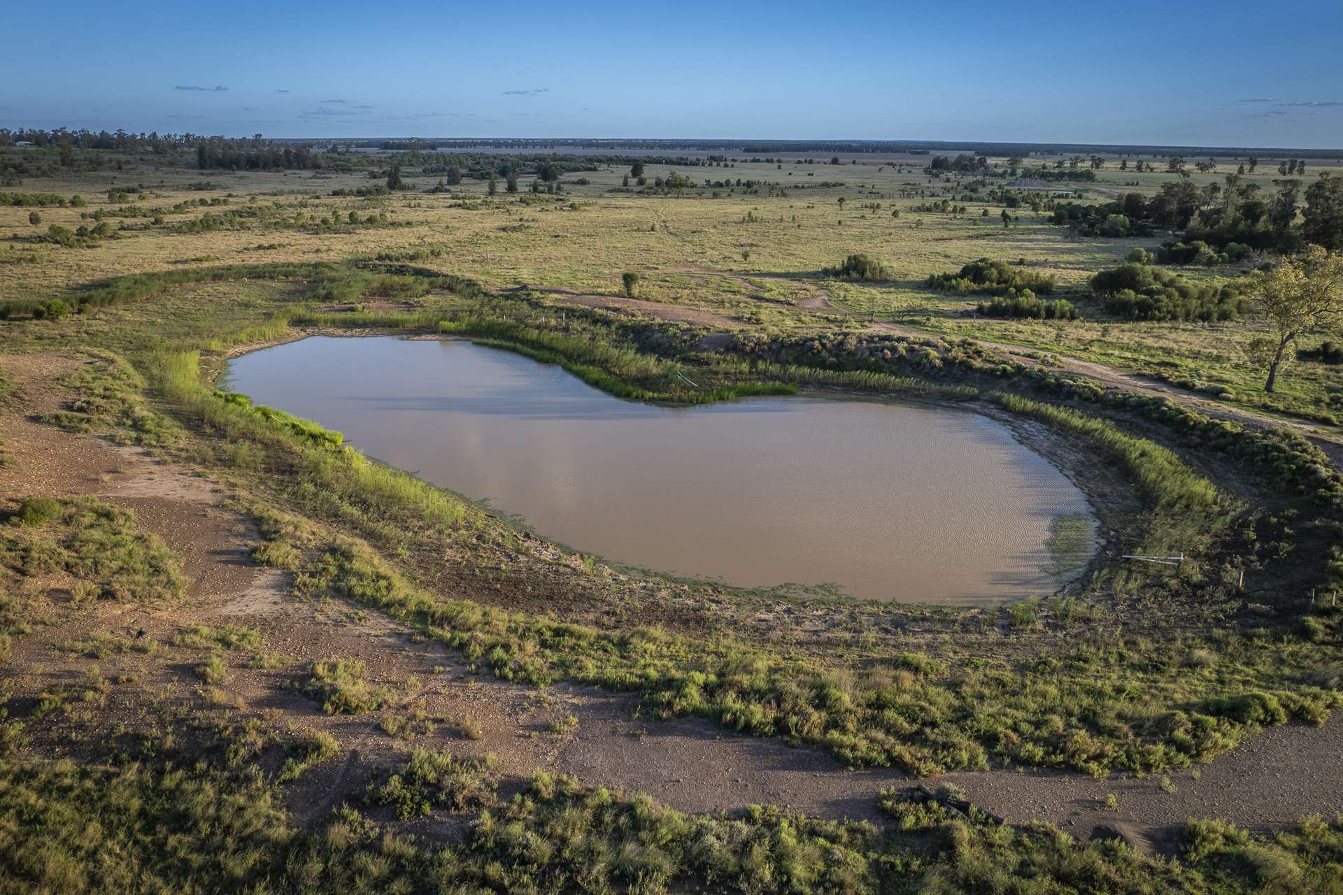 267 Bennett School Road, Tara Auction by Farmbuy.com - image 10