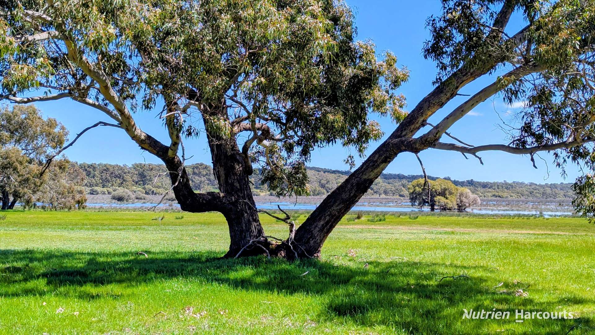 Lot 52 & 53 Cowalla Road, Cowalla, Gingin For Sale by Farmbuy.com - image 9