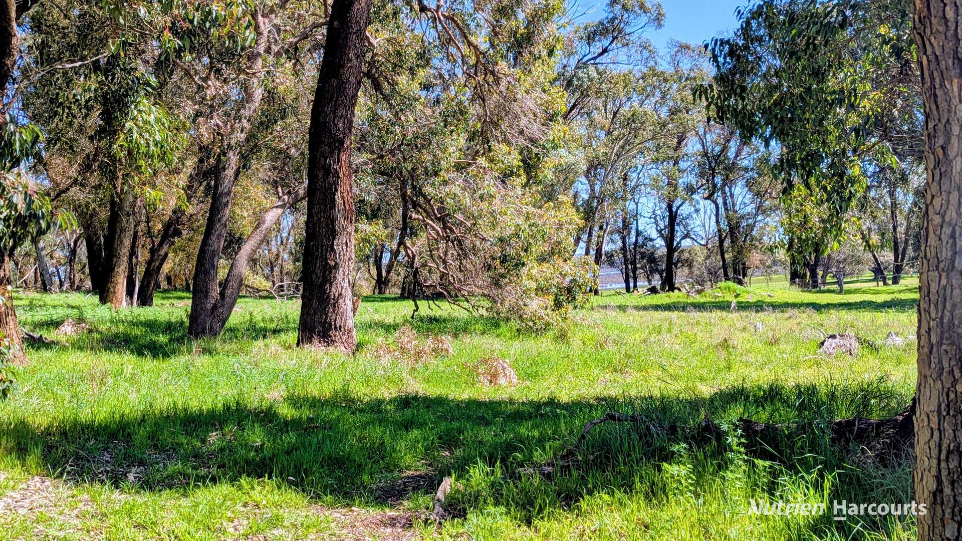 Lot 52 & 53 Cowalla Road, Cowalla, Gingin For Sale by Farmbuy.com - image 7