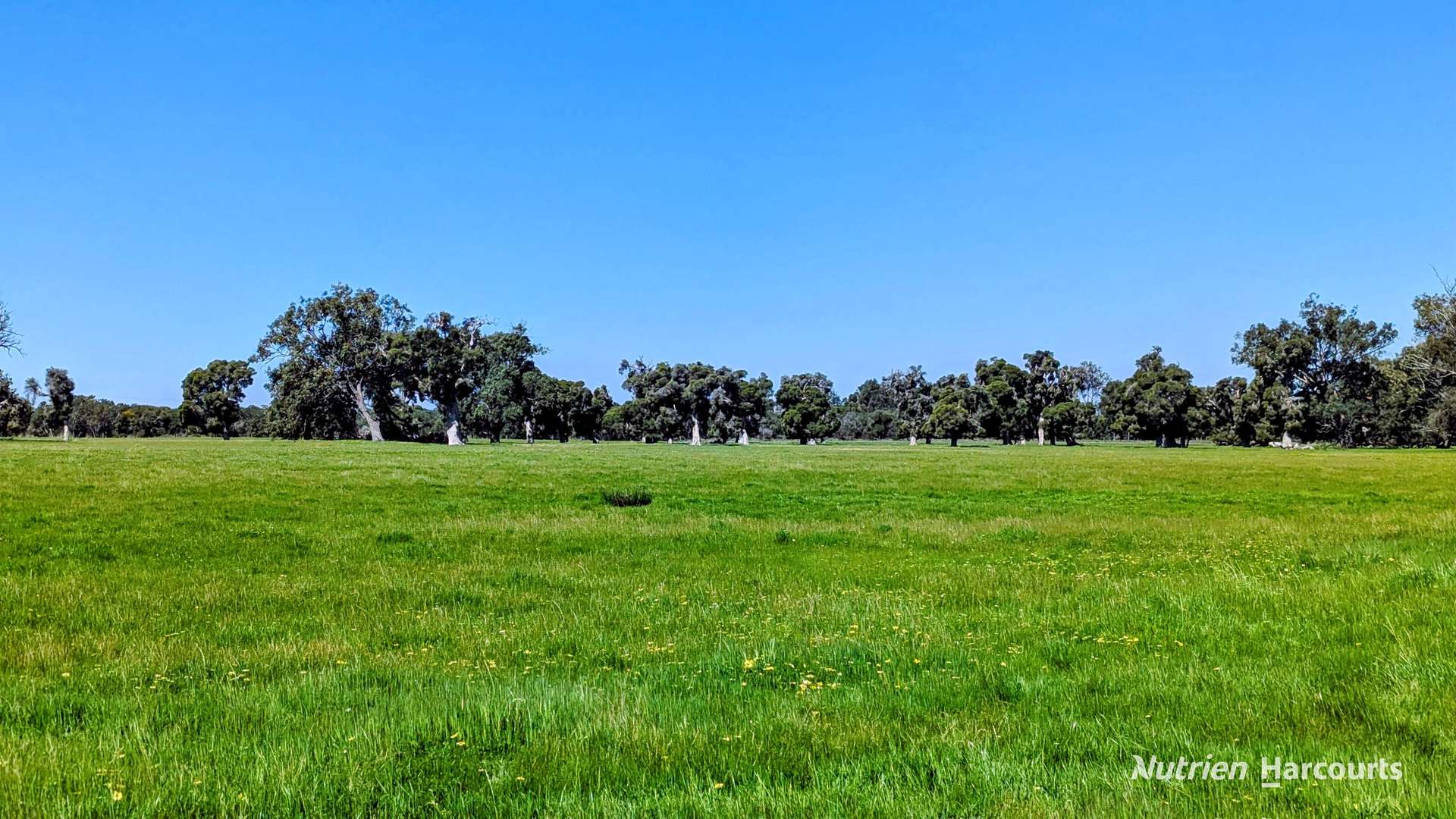 Lot 52 & 53 Cowalla Road, Cowalla, Gingin For Sale by Farmbuy.com - image 15