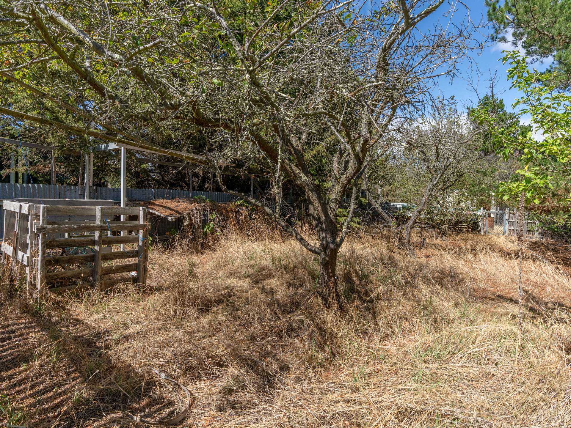 2A High Street, Oatlands For Sale by Farmbuy.com - image 27