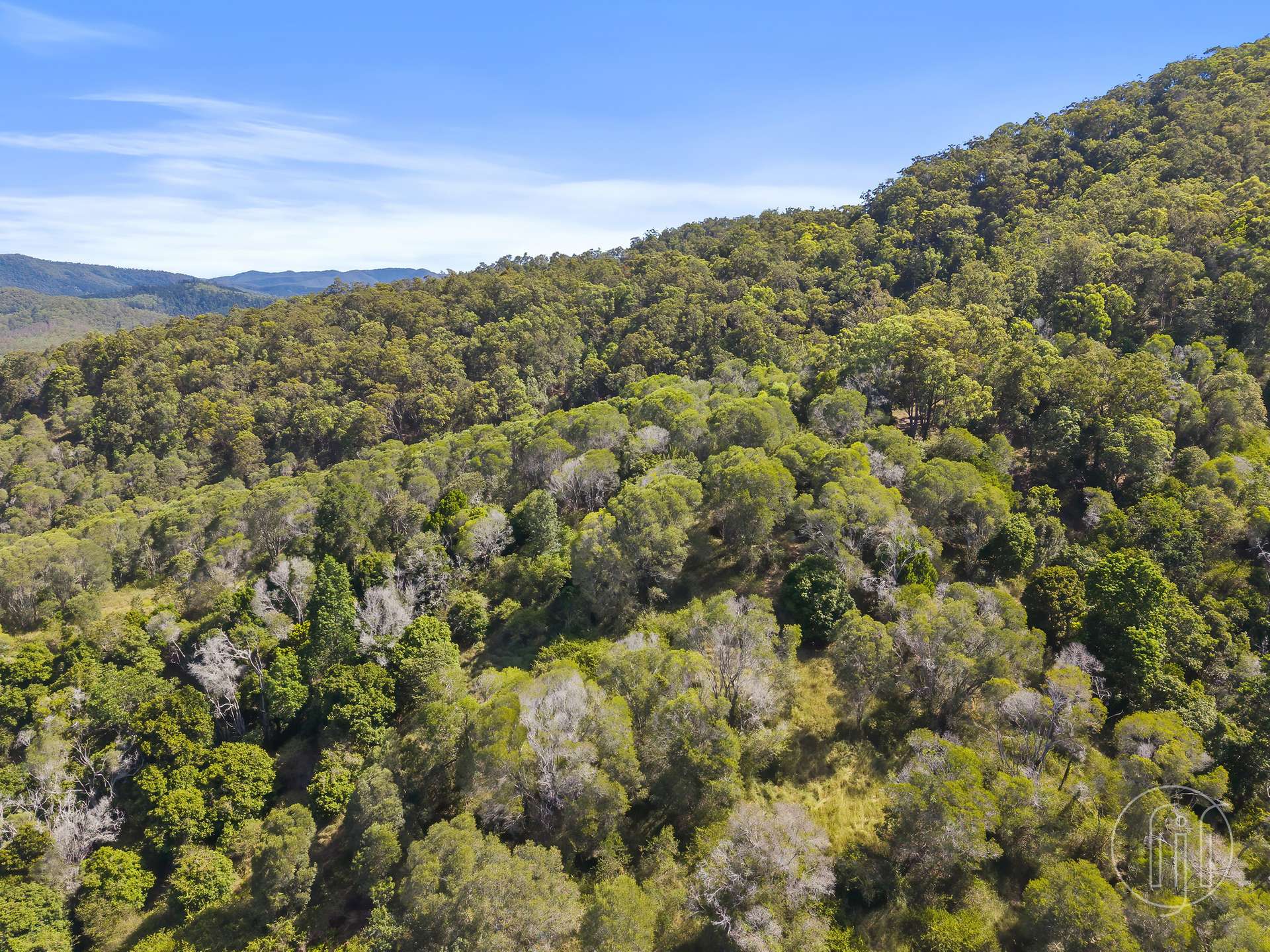 Lot 2 Ballard Rd, Imbil For Sale by Farmbuy.com - image 2