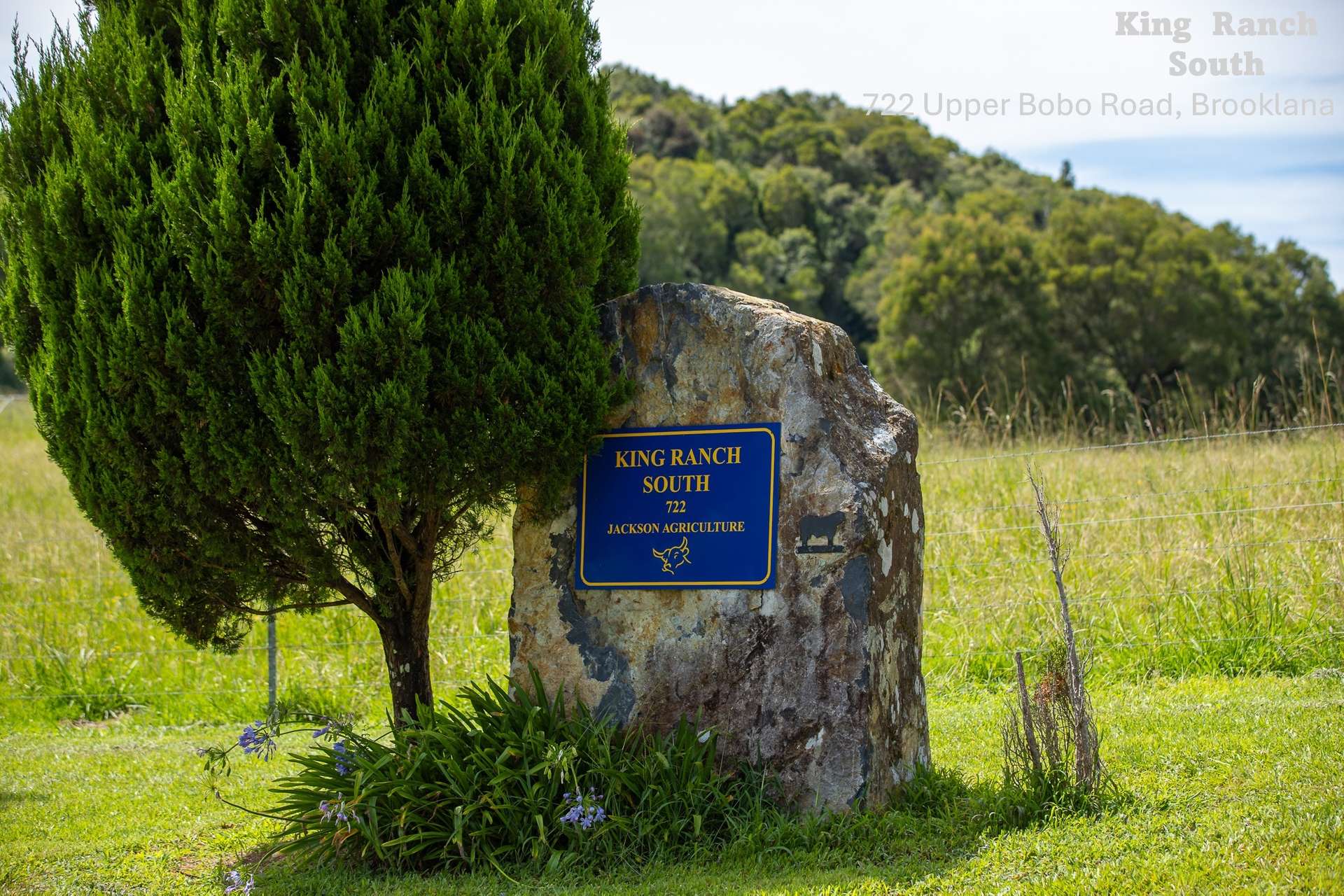 "King Ranch" 481 Upper Bobo Road, Dorrigo Tender by Farmbuy.com - image 27