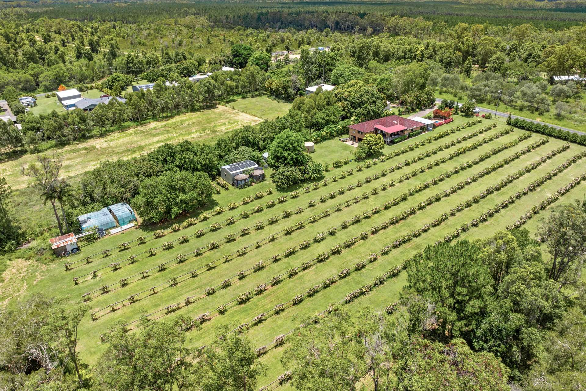 109 Fraser Road, Beerwah Auction by Farmbuy.com - image 10