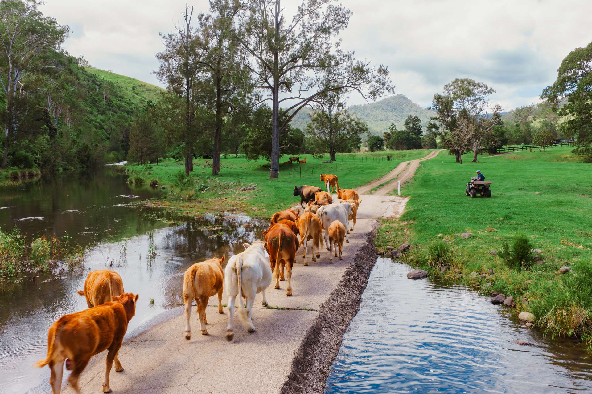 466 Sarabah Road, Sarabah For Sale by Farmbuy.com - image 2