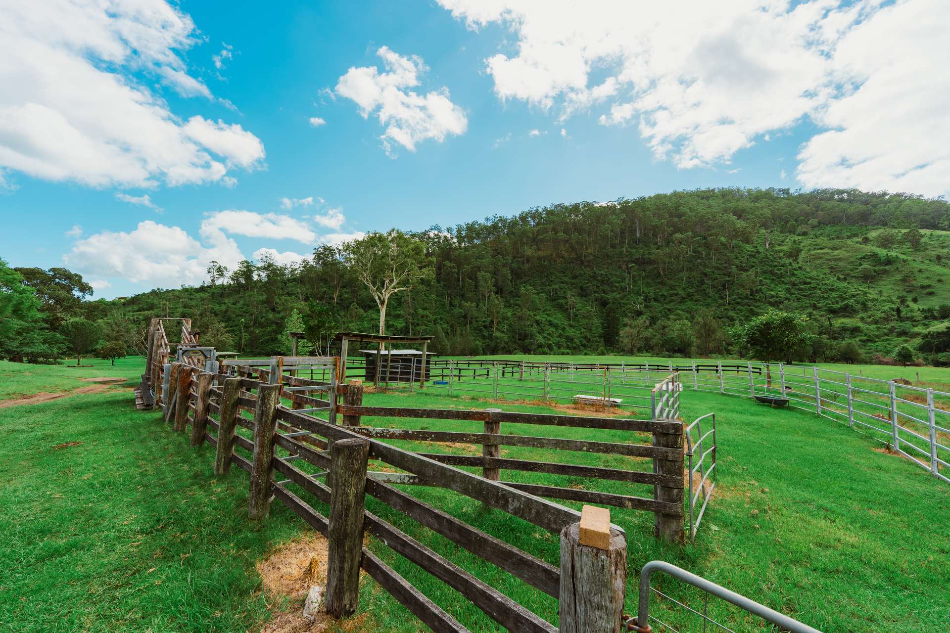 466 Sarabah Road, Sarabah For Sale by Farmbuy.com - image 29