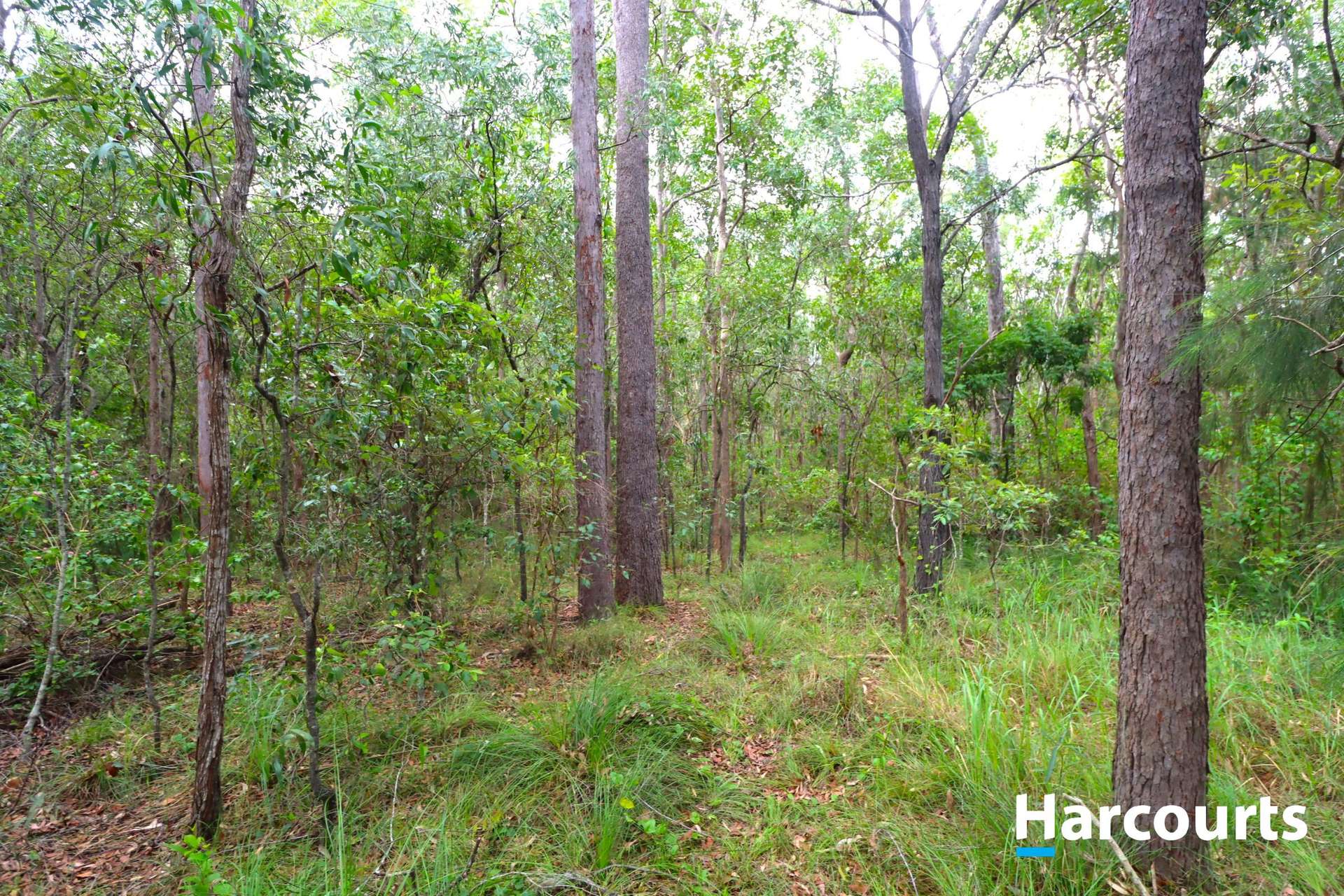 Lot 52,  Tardas Road, Gregory River For Sale by Farmbuy.com - image 5