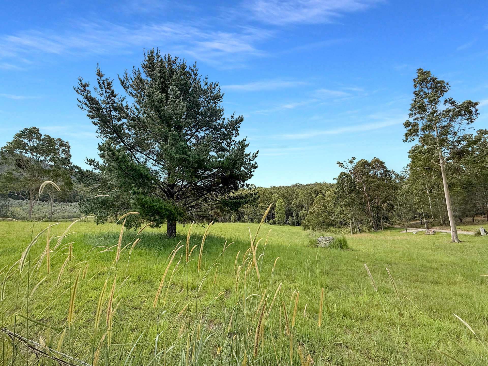 121 Eglinford Lane, Congewai For Sale by Farmbuy.com - image 30