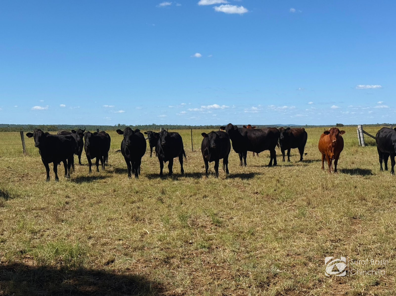 “Gedley Et. Al.” West Boondooma Road, Durong For Sale by Farmbuy.com - image 19