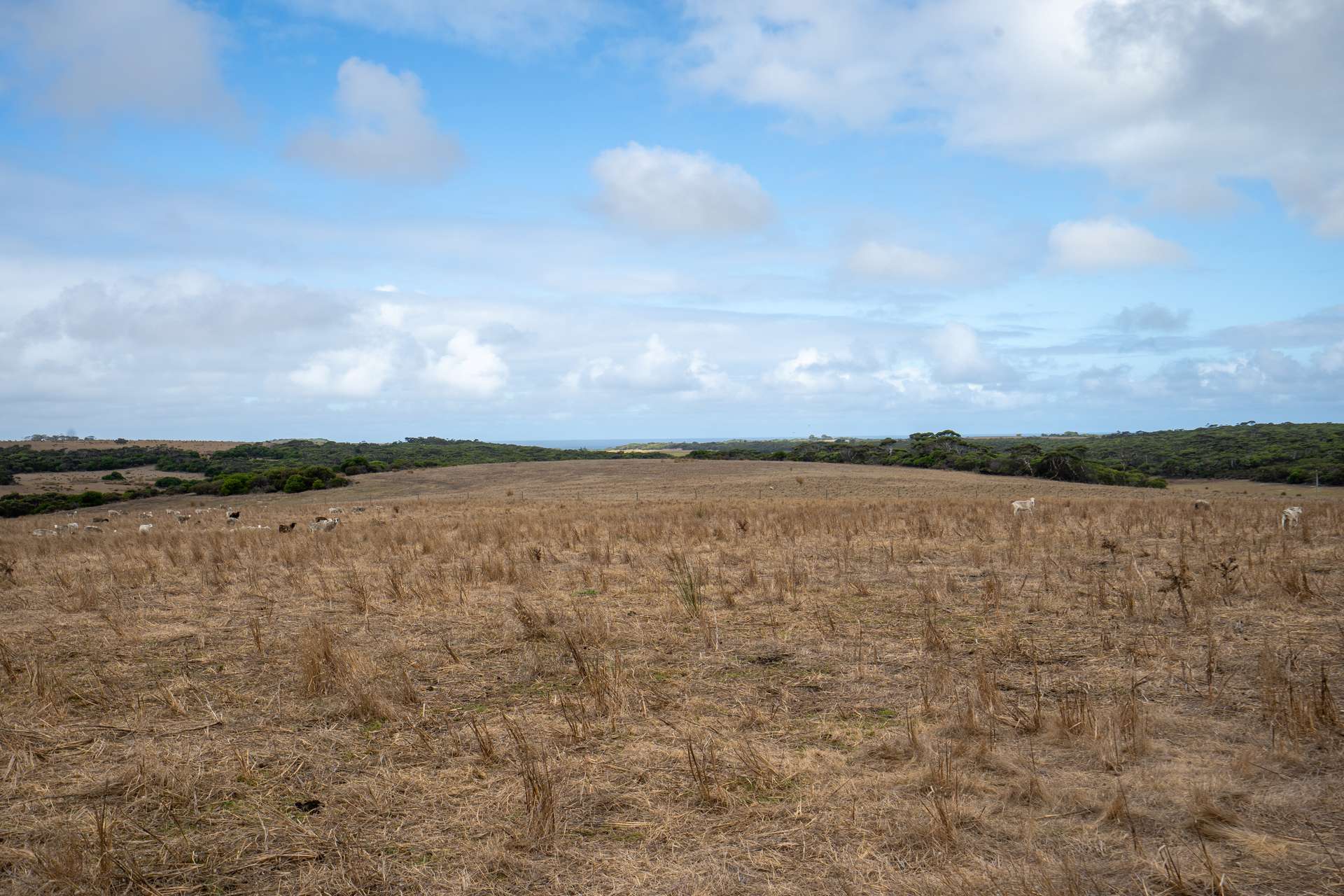 582 Bluff Creek Road, Green Range For Sale by Farmbuy.com - image 11