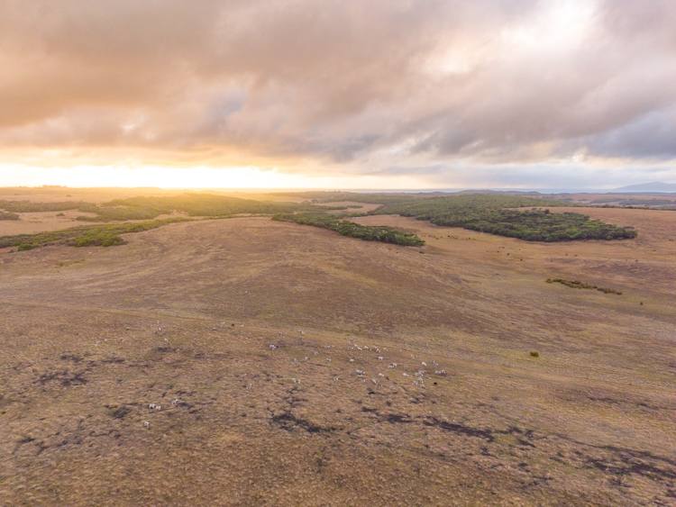 582 Bluff Creek Road, Green Range For Sale by Farmbuy.com - image 10