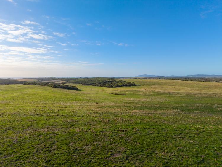 582 Bluff Creek Road, Green Range For Sale by Farmbuy.com - image 3