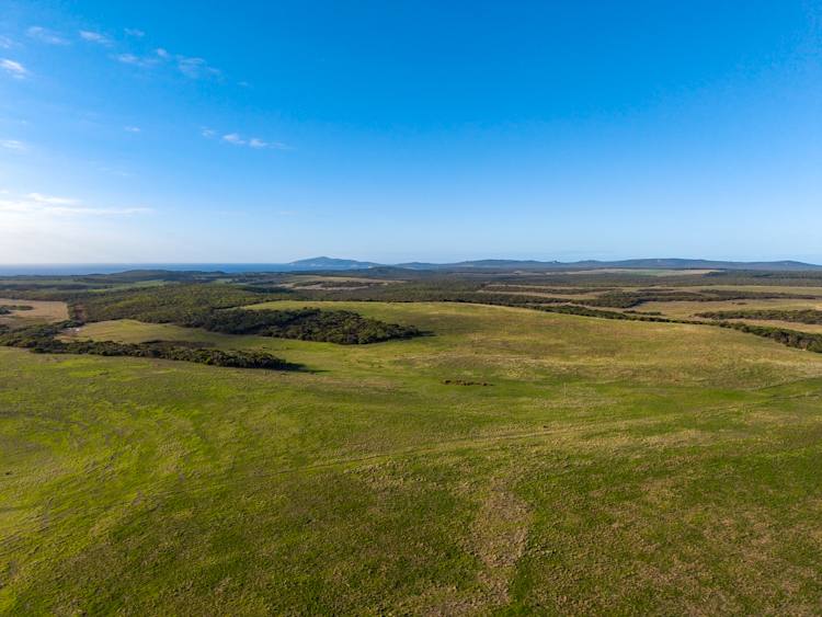 582 Bluff Creek Road, Green Range For Sale by Farmbuy.com - image 14