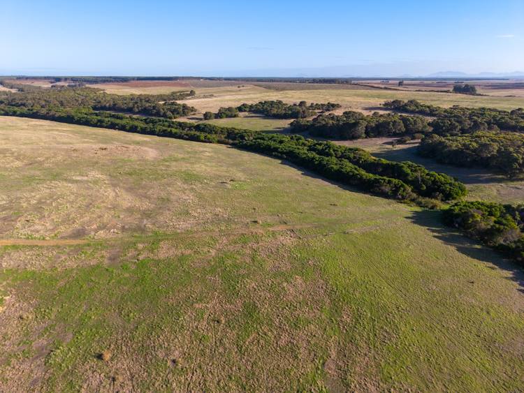 582 Bluff Creek Road, Green Range For Sale by Farmbuy.com - image 9