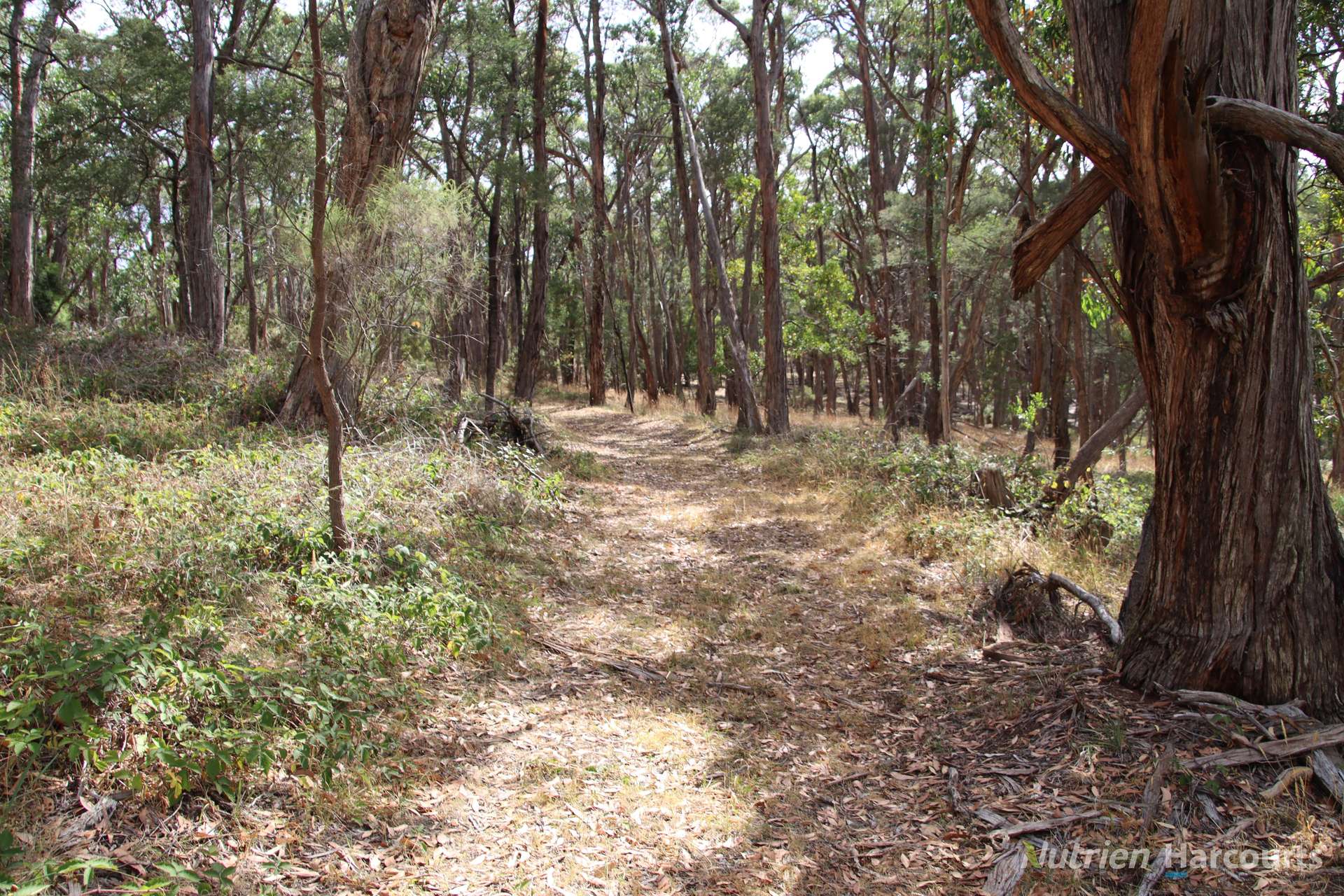 Lot 2 Skirkas Road, Buninyong For Sale by Farmbuy.com - image 10