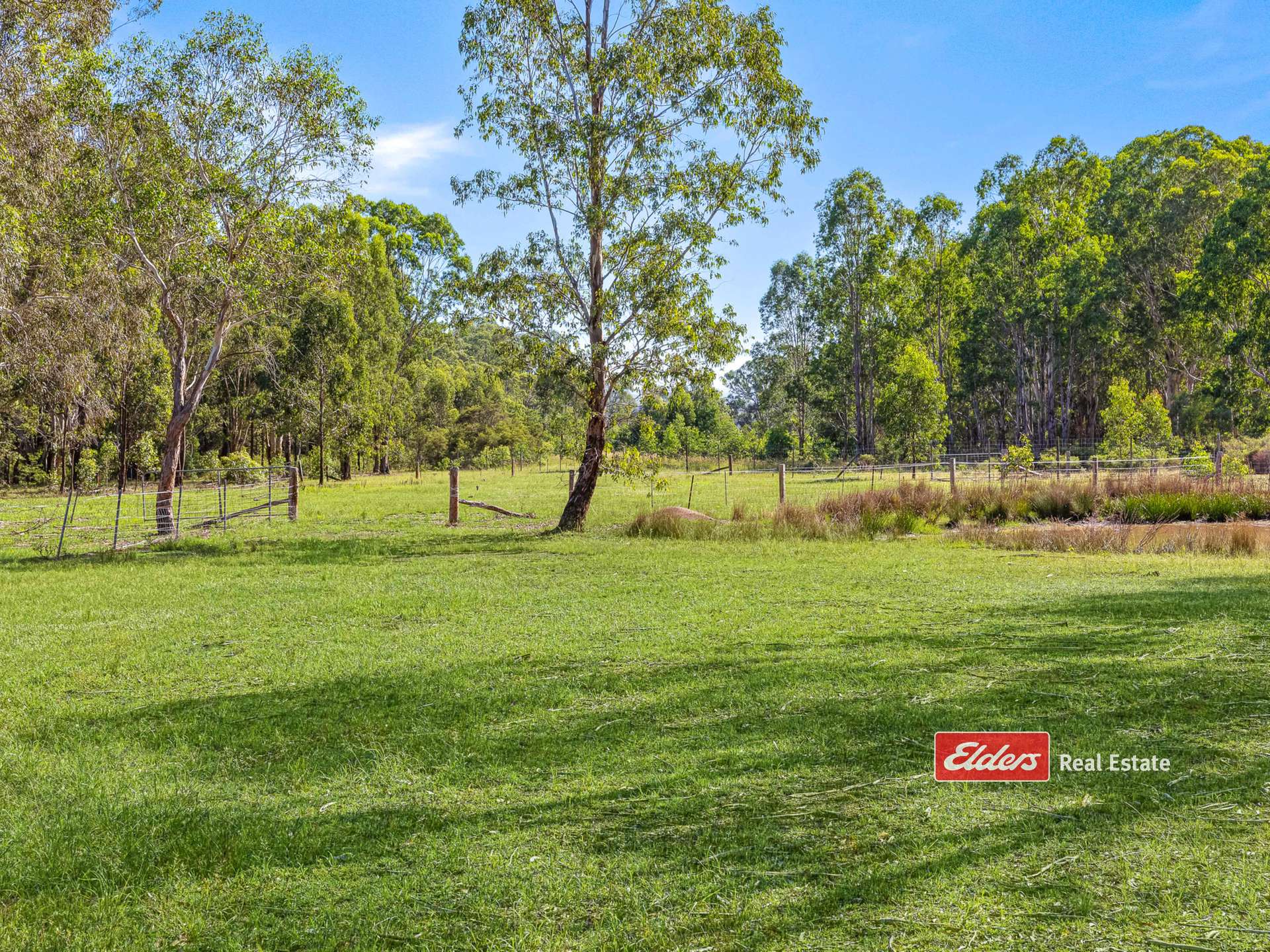 576 Wallarobba-Brookfield Road, Wallarobba Via, Dungog For Sale by Farmbuy.com - image 16