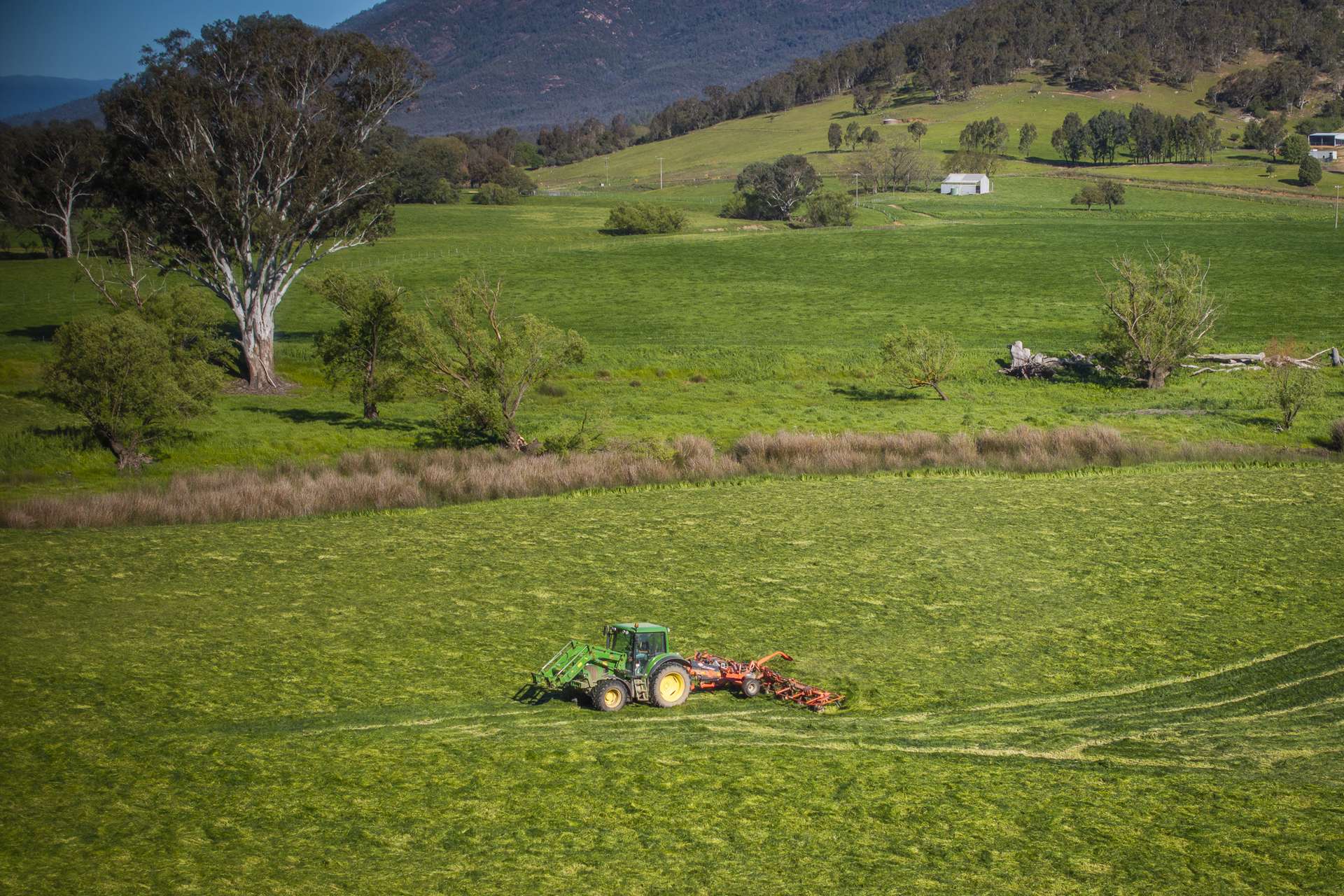 - Murray River Road, Pine Mountain For Sale by Farmbuy.com - image 8