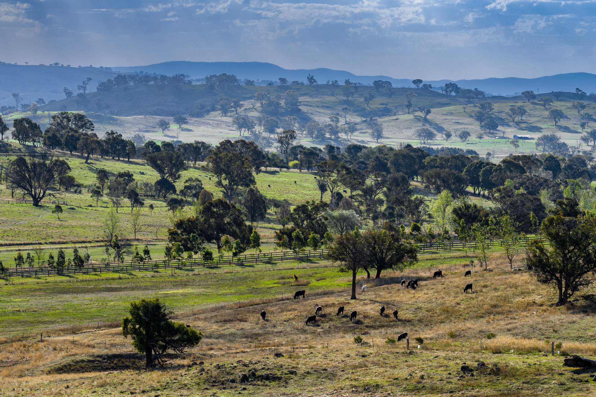 "Savannah Springs" 294 Rolfe Road, Wallaroo Auction by Farmbuy.com - image 21