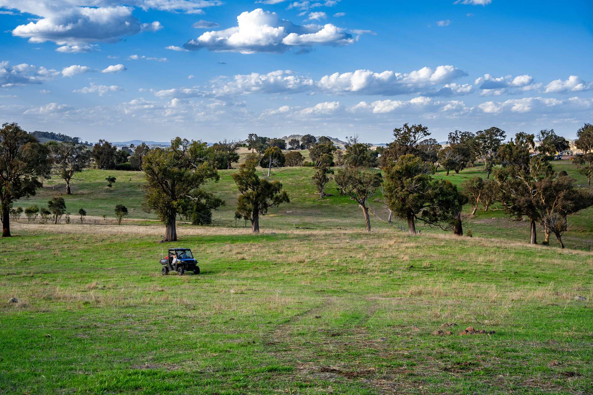 "Savannah Springs" 294 Rolfe Road, Wallaroo Auction by Farmbuy.com - image 25