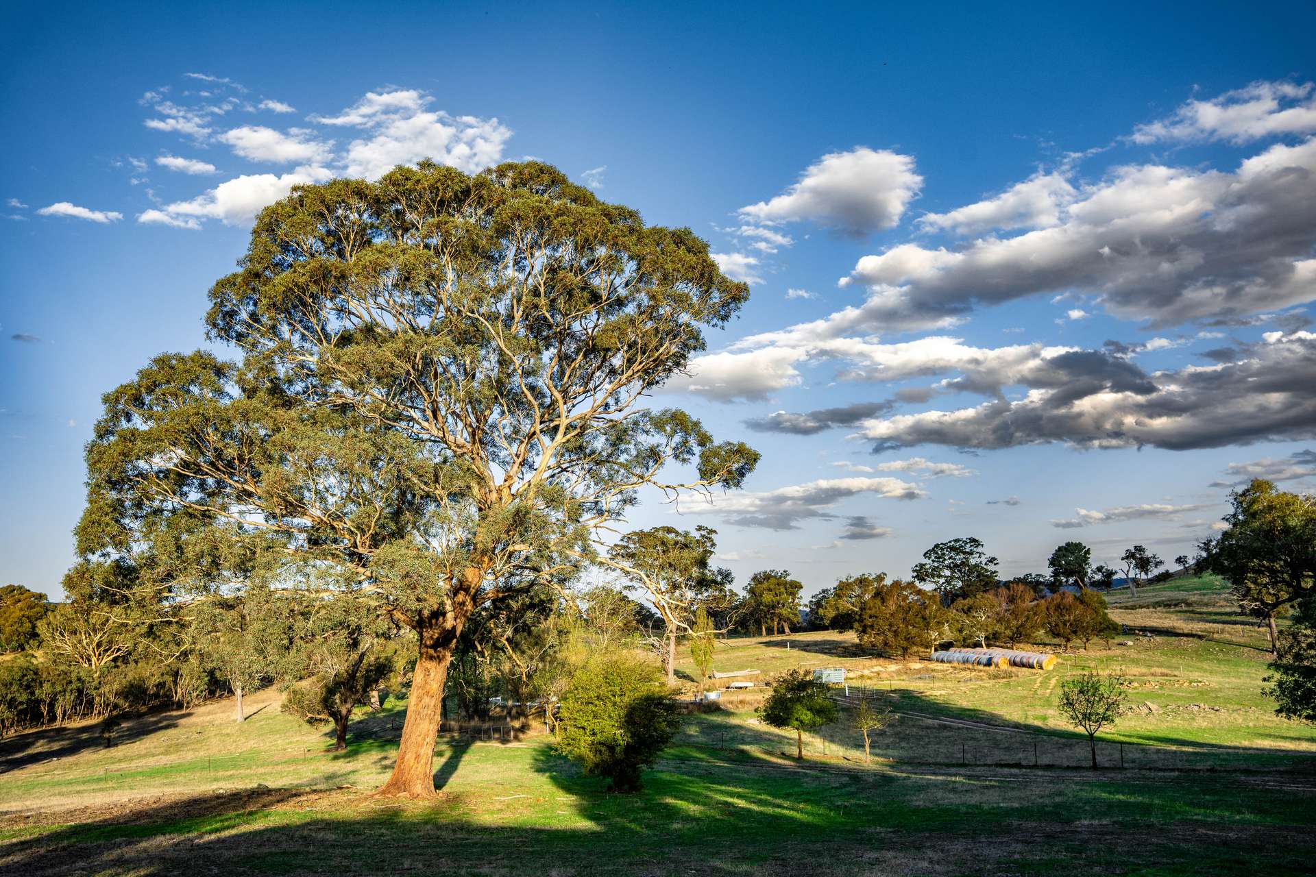 "Savannah Springs" 294 Rolfe Road, Wallaroo Auction by Farmbuy.com - image 24