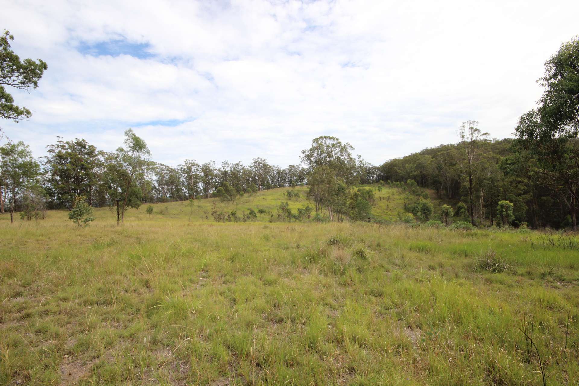 702 Comboyne Road, Byabarra For Sale by Farmbuy.com - image 7