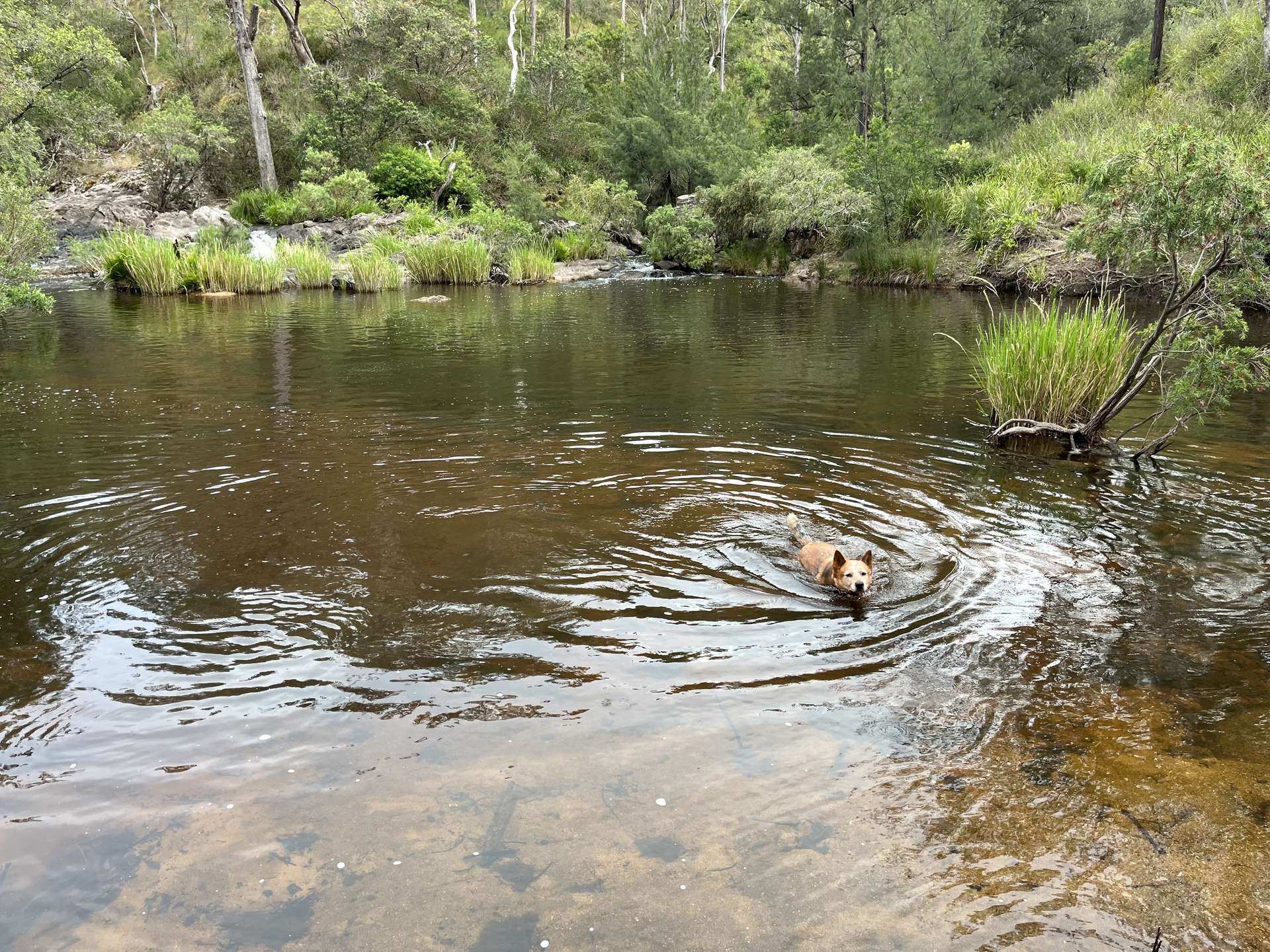 7266 Mount Lindesay Road, Liston For Sale by Farmbuy.com - image 1
