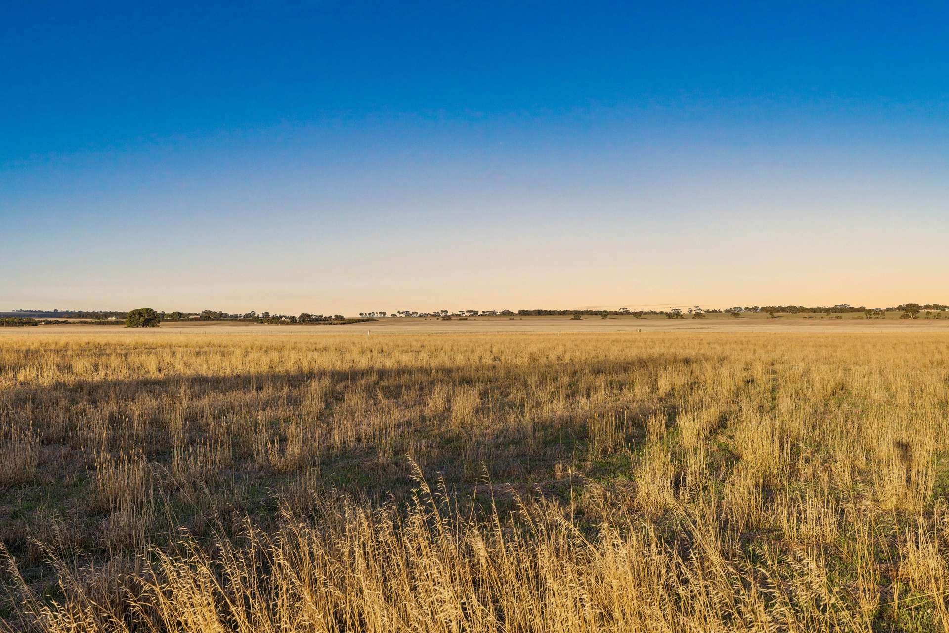 403 Dry Plains Road, Strathalbyn For Sale by Farmbuy.com - image 17