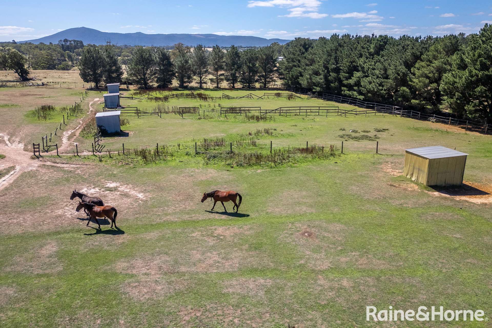 58 Heather Road, Gisborne Auction by Farmbuy.com - image 18