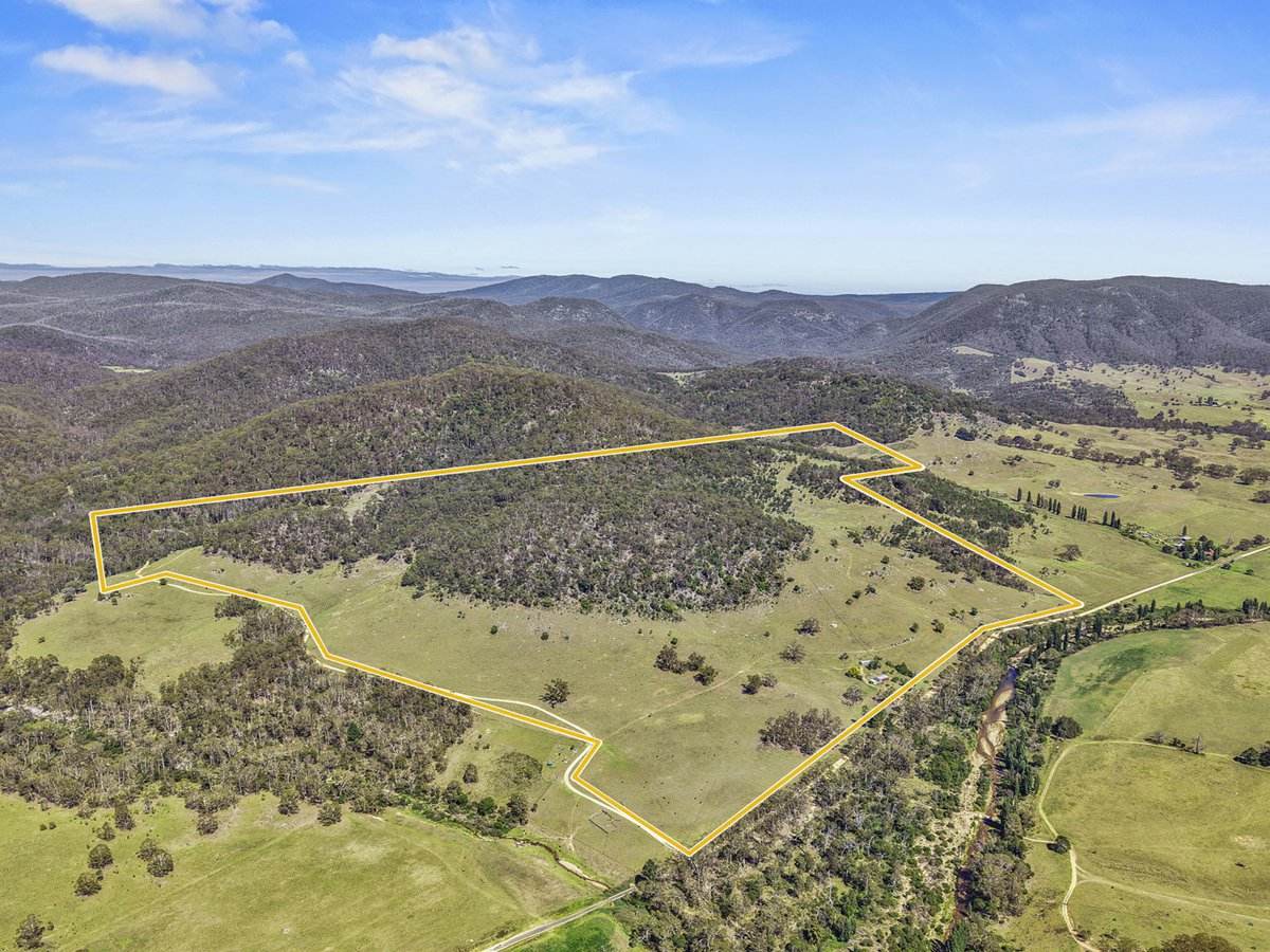 1109 Big Jack Mountain Road, Rocky Hall For Sale by Farmbuy.com - image 4