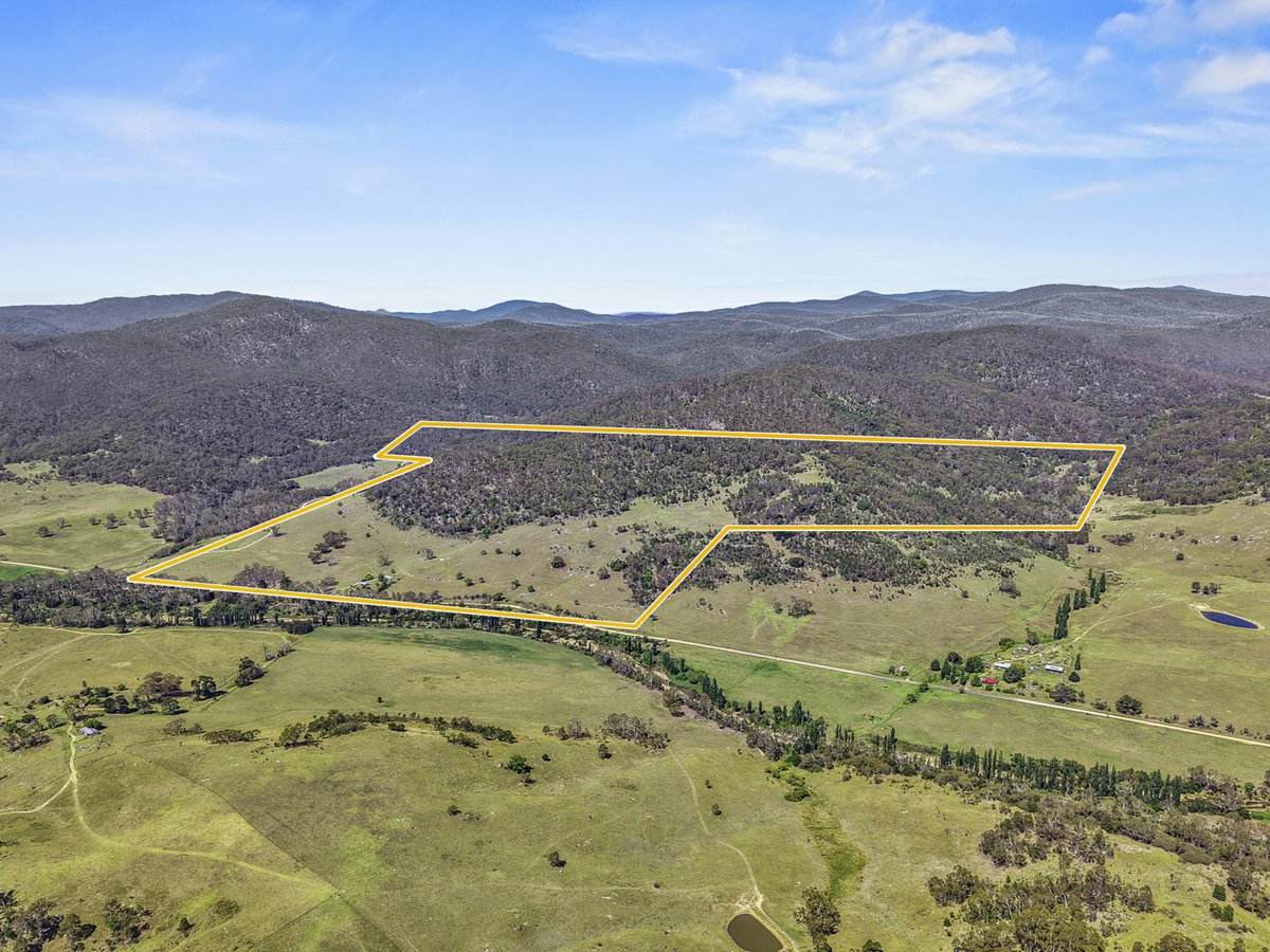 1109 Big Jack Mountain Road, Rocky Hall For Sale by Farmbuy.com - image 22