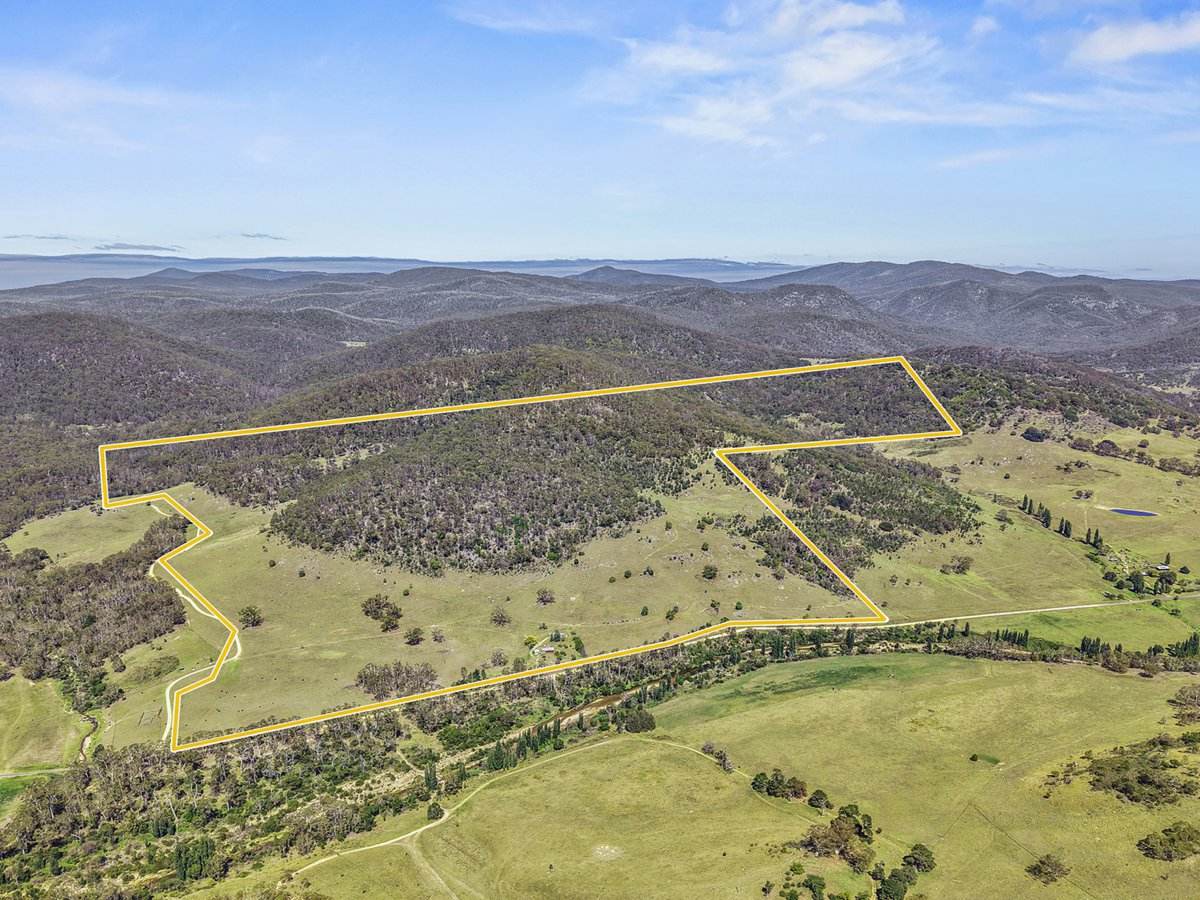 1109 Big Jack Mountain Road, Rocky Hall For Sale by Farmbuy.com - image 21