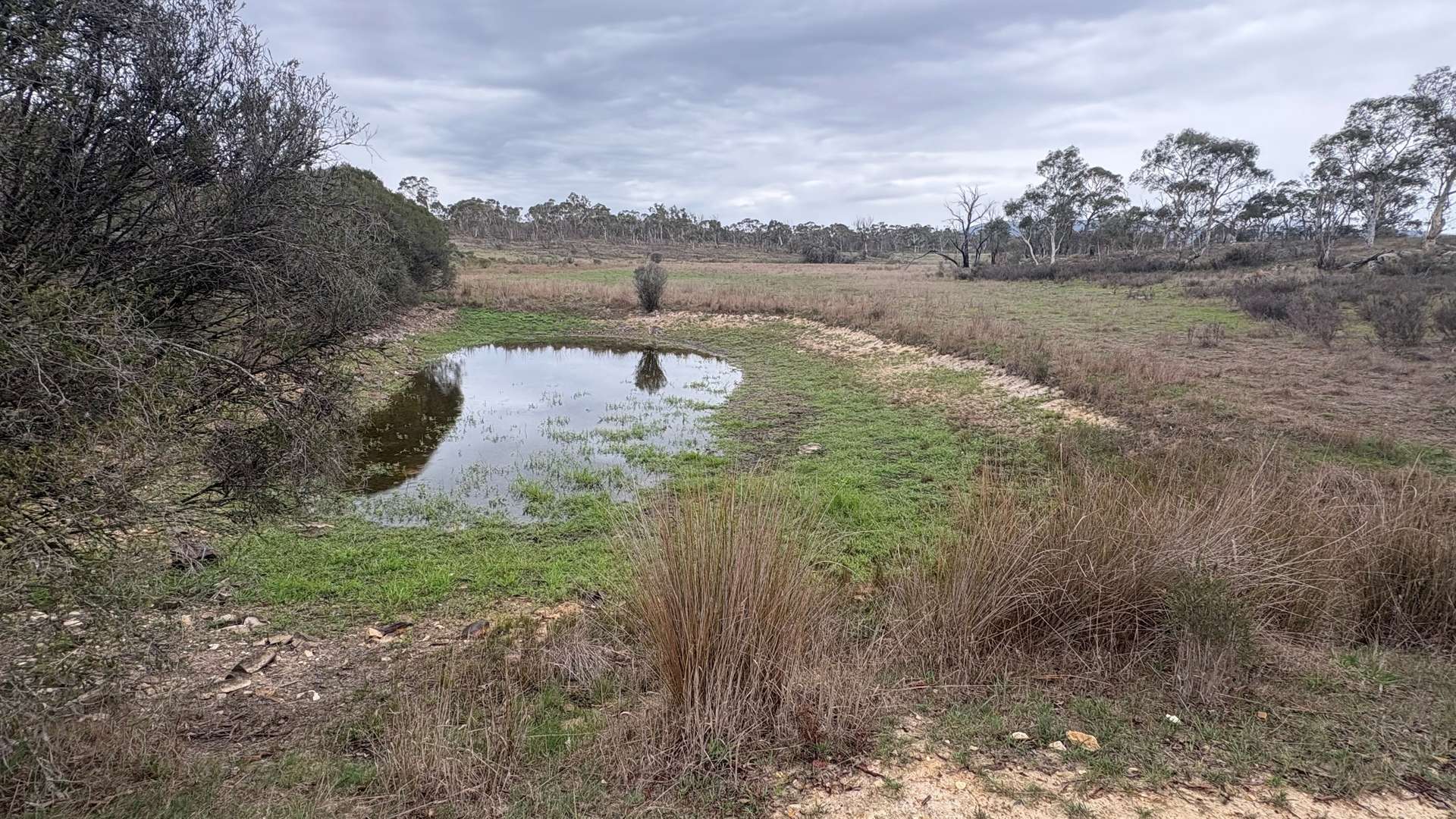 111 Farringdon Road, Braidwood For Sale by Farmbuy.com - image 1