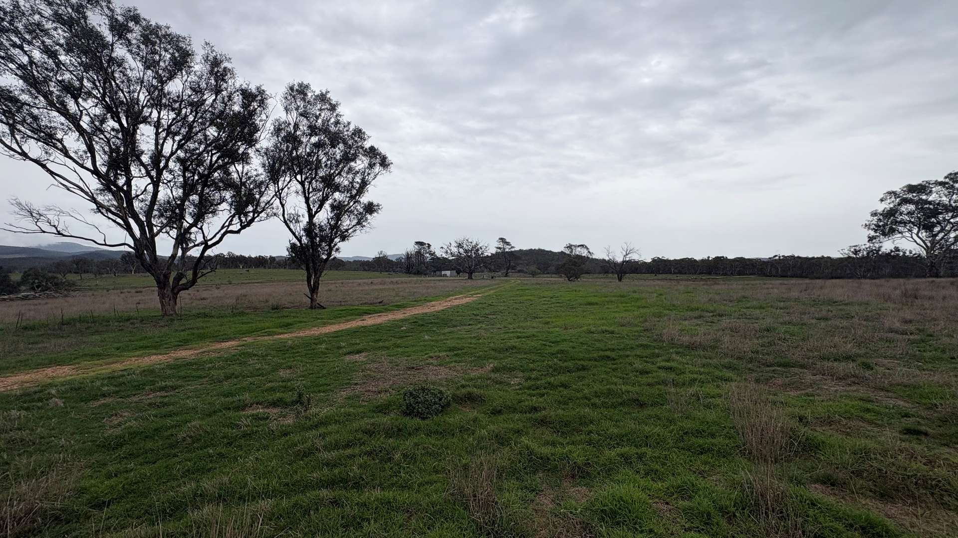 111 Farringdon Road, Braidwood For Sale by Farmbuy.com - image 10
