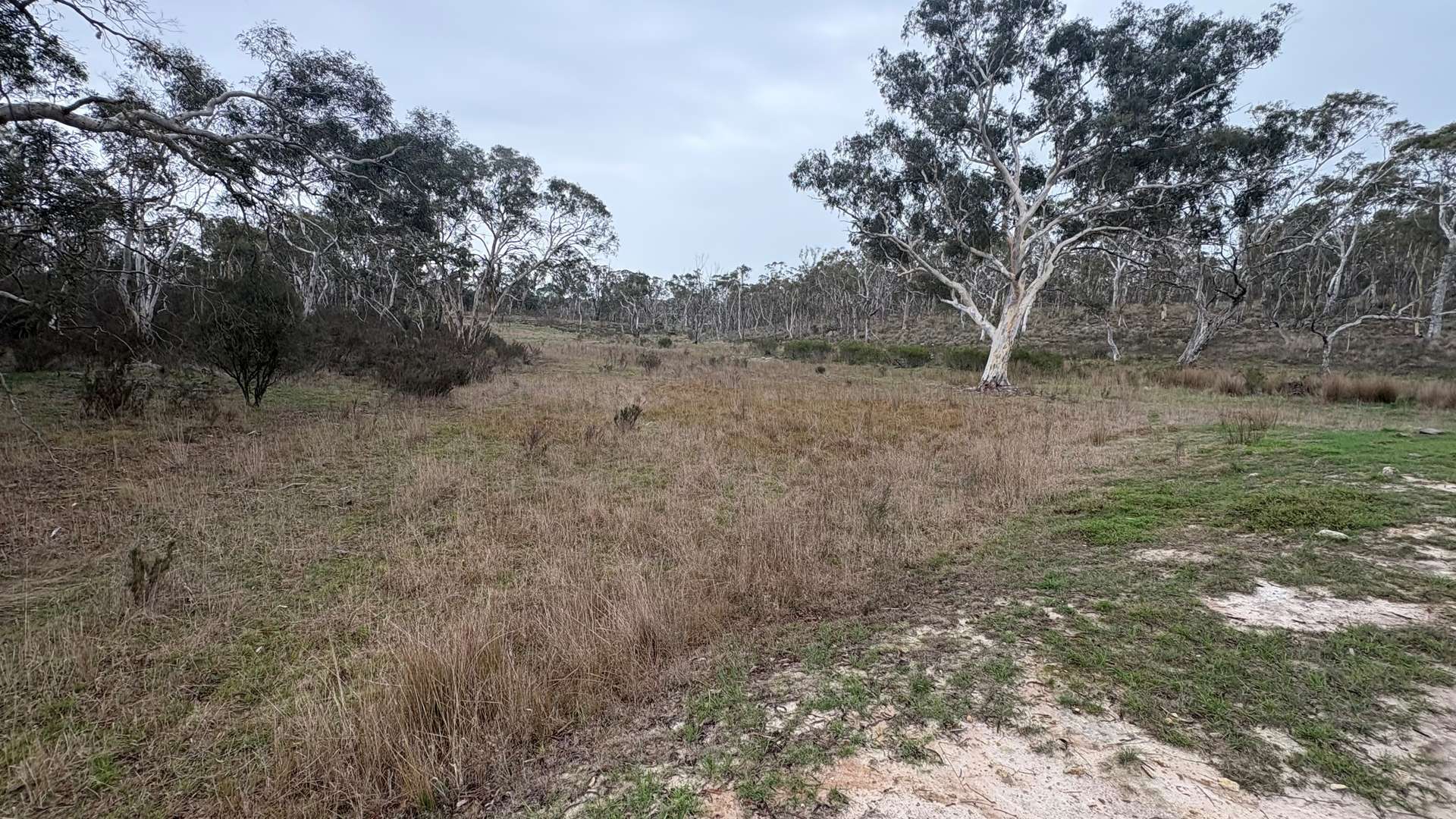 111 Farringdon Road, Braidwood For Sale by Farmbuy.com - image 11