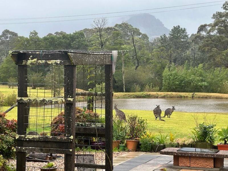 60 Mount Scanzi Road, Kangaroo Valley For Sale by Farmbuy.com - image 28