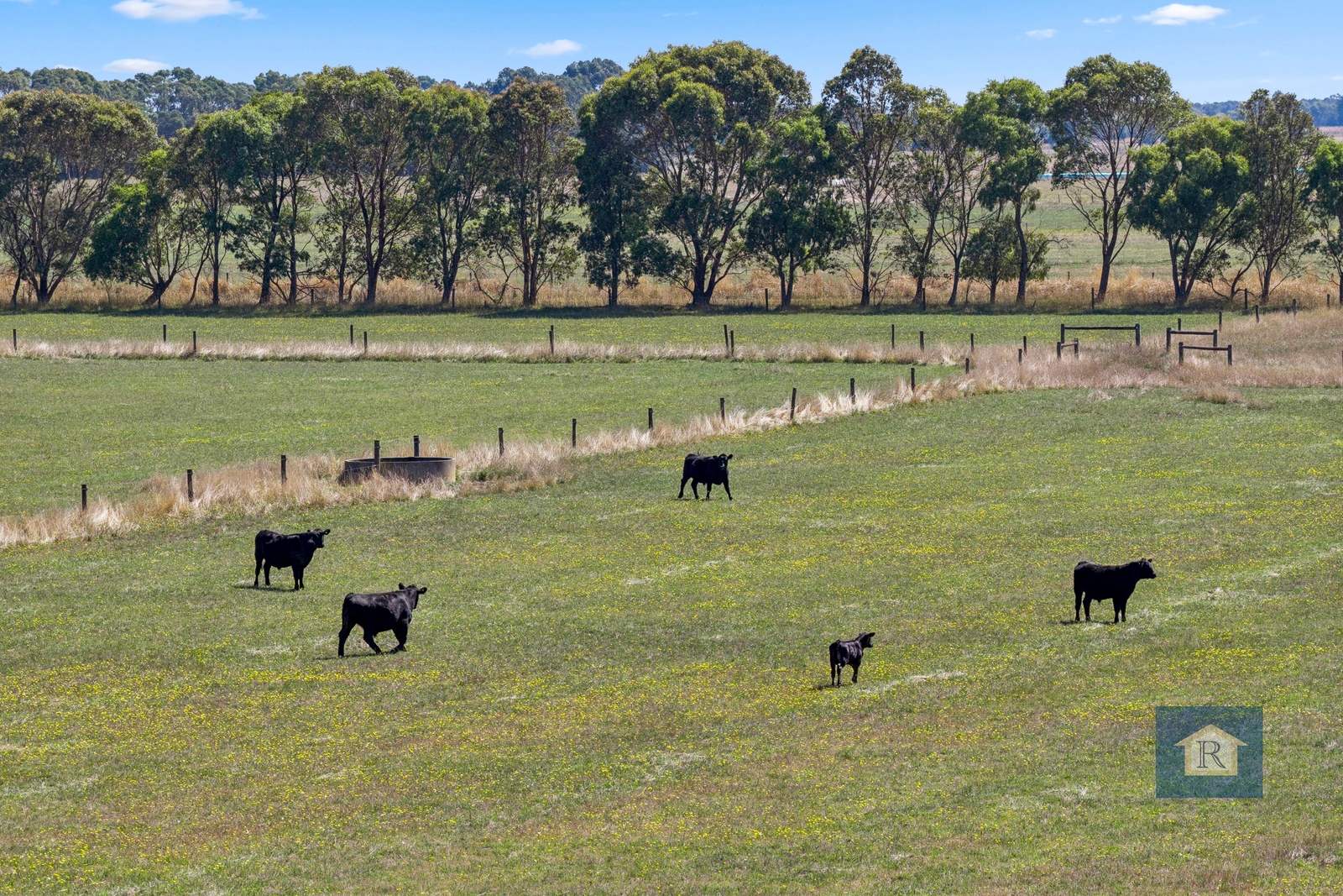 180 Irrewillipe-Pirron Yallock Road, Irrewillipe For Sale by Farmbuy.com - image 19