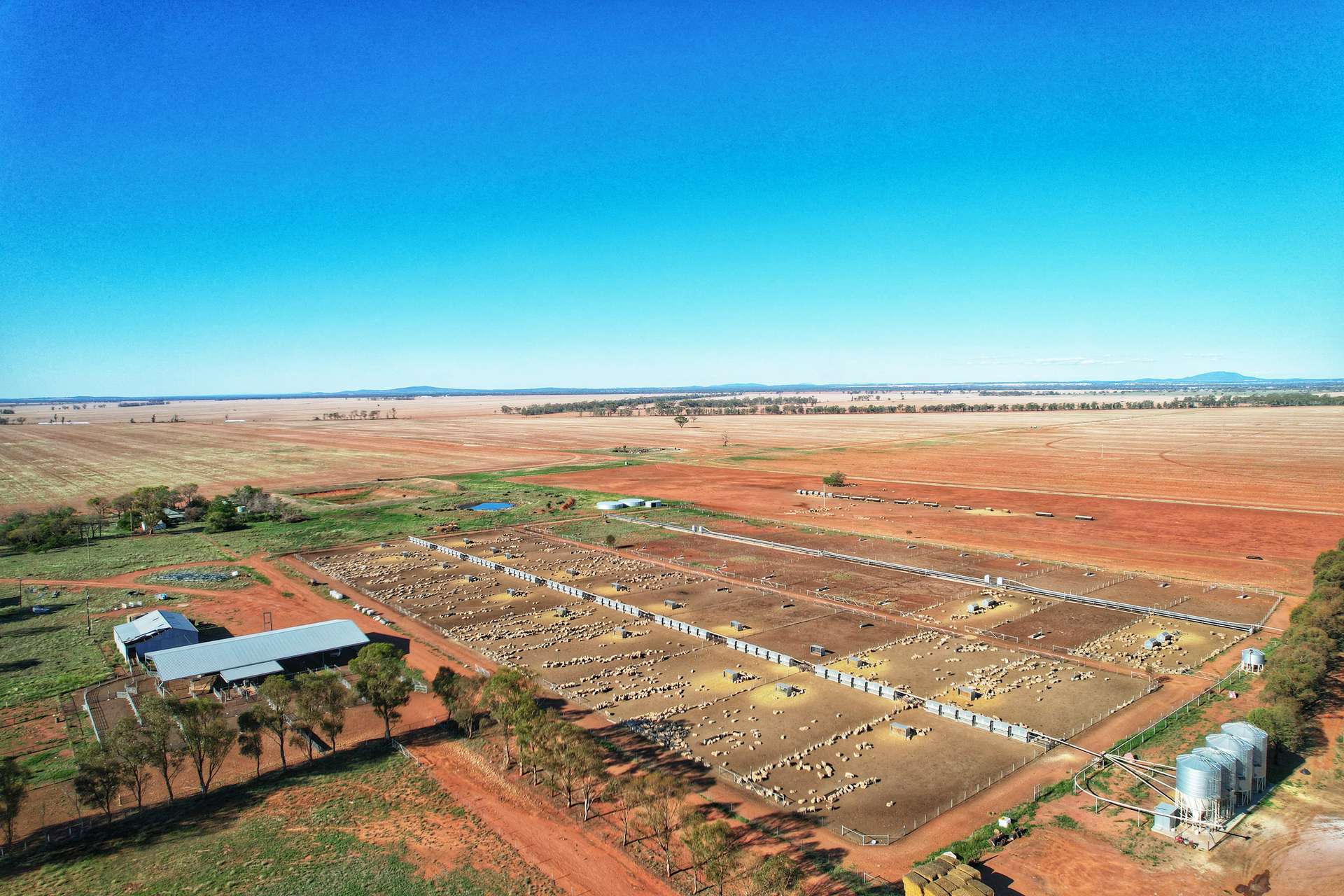 Rosewood Aggregation 7033 The Gipps Way, Condobolin For Sale by Farmbuy.com - image 14