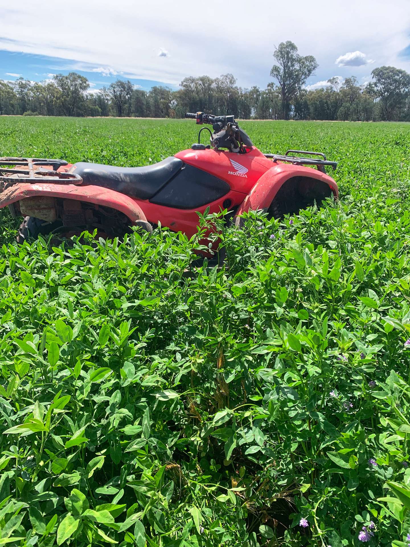 Rosewood Aggregation 7033 The Gipps Way, Condobolin For Sale by Farmbuy.com - image 19