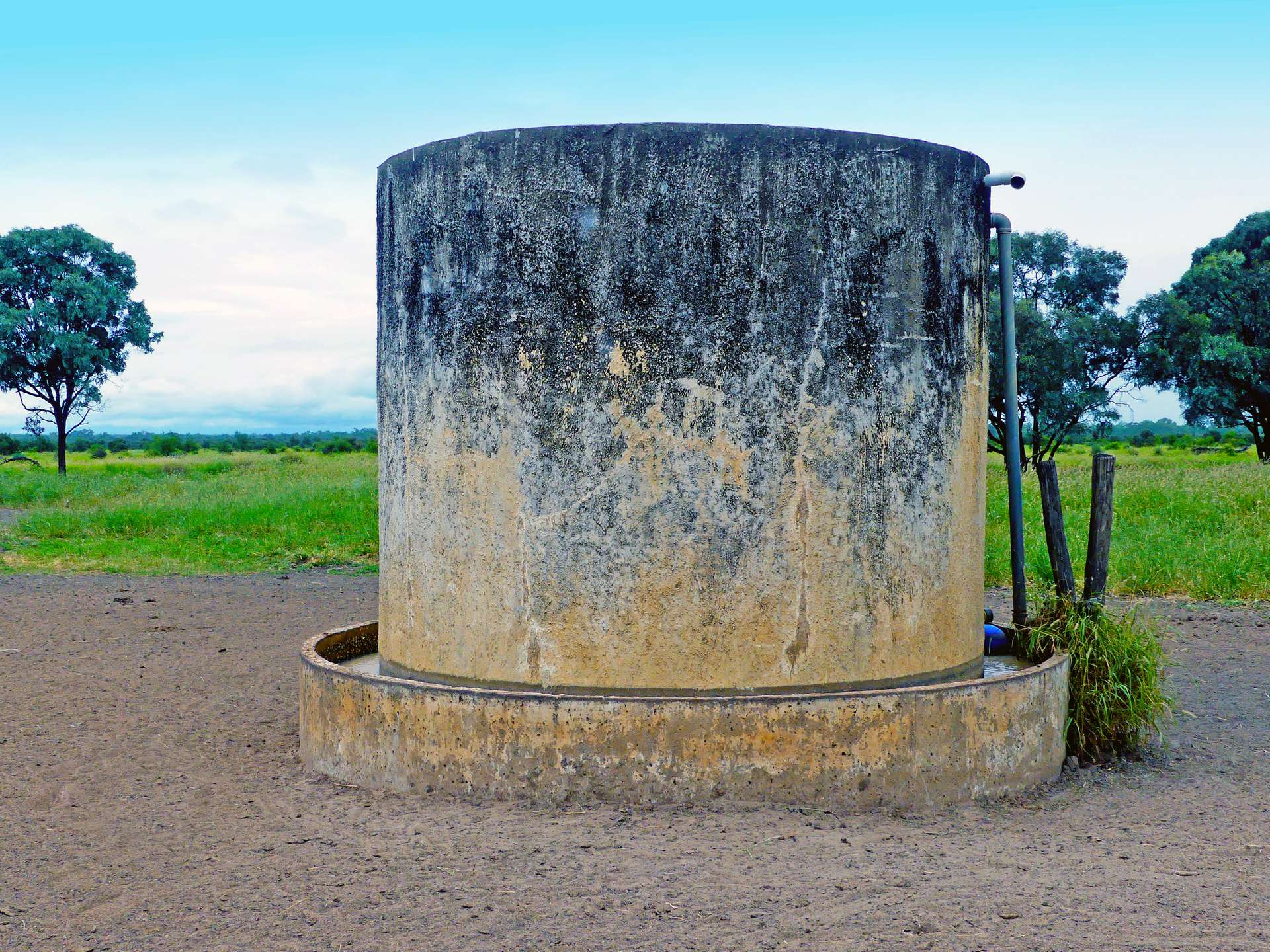 "Wavering Downs" 1467 Pasha Rd, Pasha For Sale by Farmbuy.com - image 14