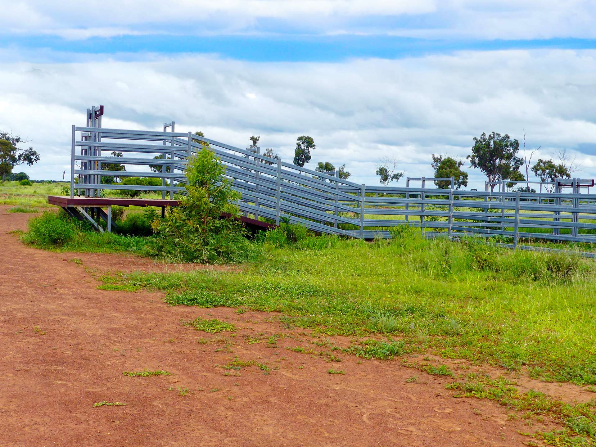 "Wavering Downs" 1467 Pasha Rd, Pasha For Sale by Farmbuy.com - image 12