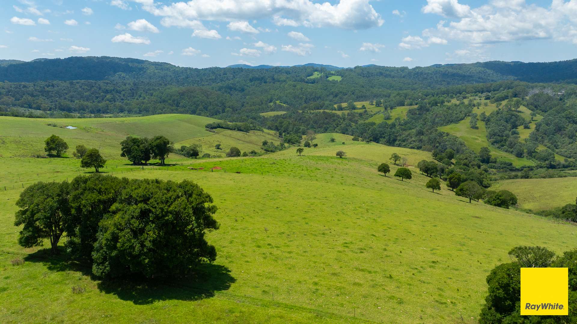 262 Snows Road, Dorrigo For Sale by Farmbuy.com - image 5